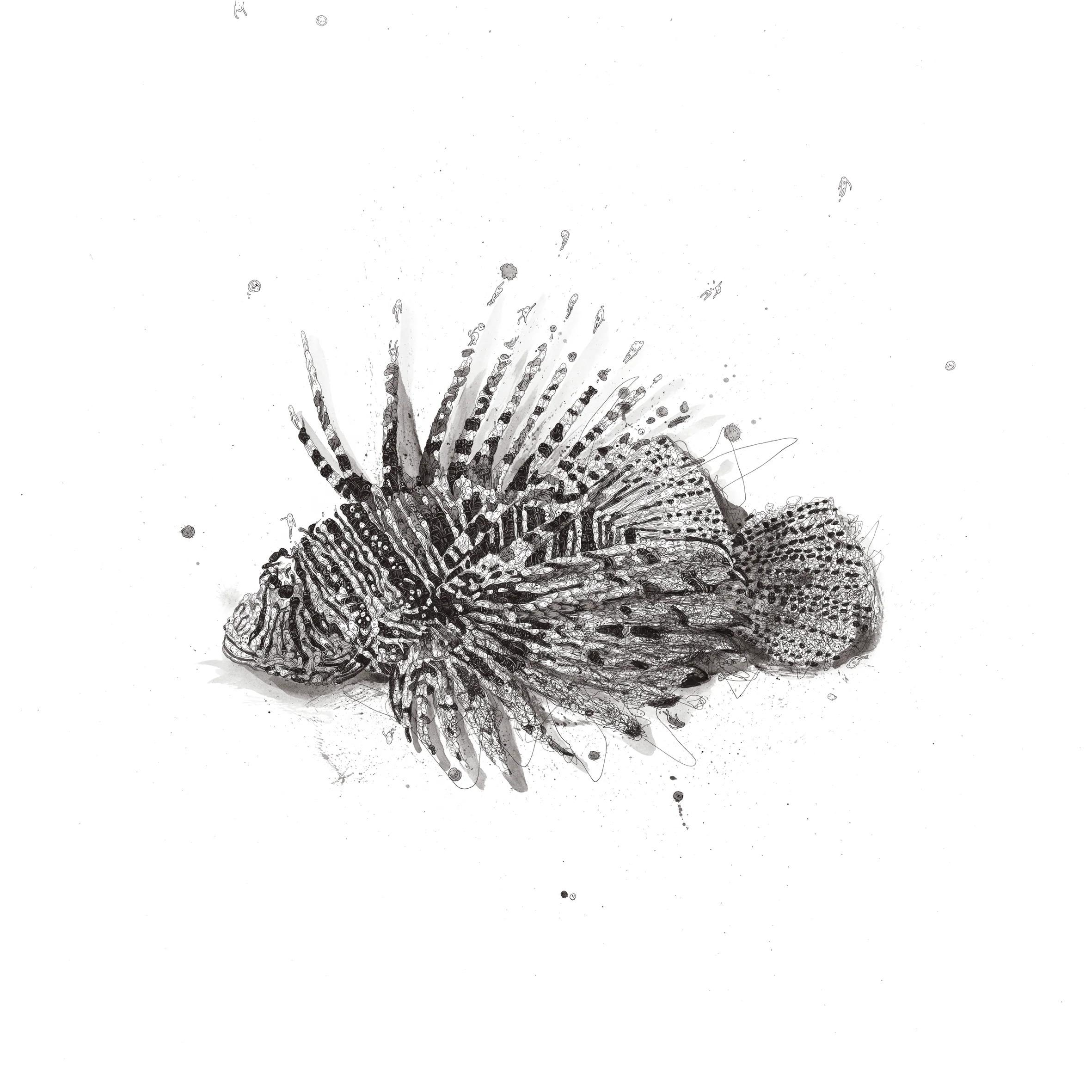 Richard Berner, Lionfish of Destiny (Signed)

Giclee print on 330gsm Somerset Paper

60 x 60 cm (23.62 x 23.62 in)

Signed and numbered by the artist

Edition of 25