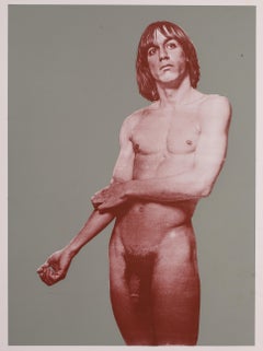 Portrait d'Iggy Pop II, sérigraphie utilisée pour l'exposition du Brooklyn Museum, 2016