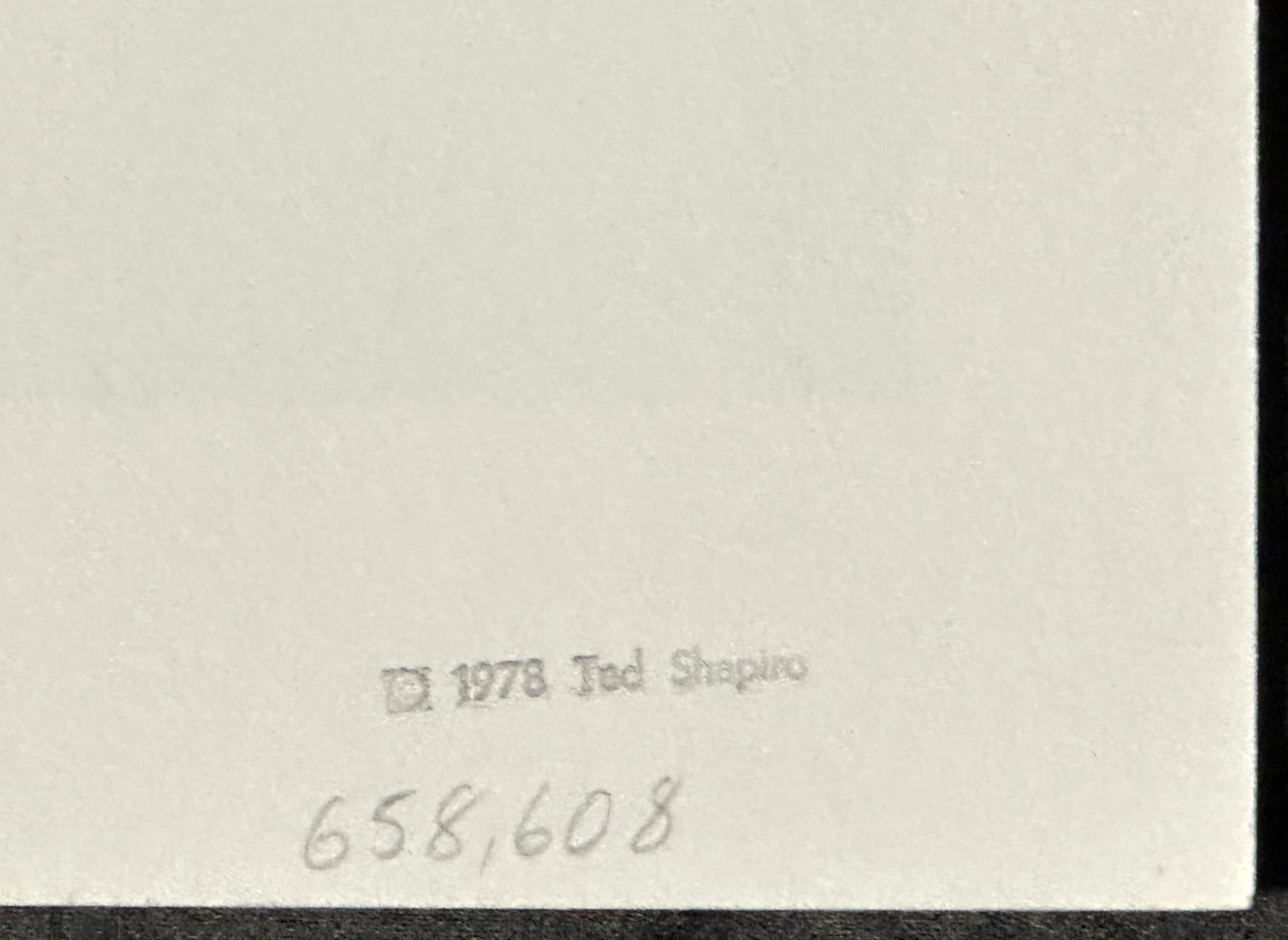 Ruby 1978 Signed Limited Edition Screen Print 4