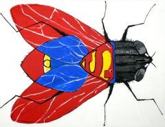 French Contemporary Art Richard Boigeol - La Mouche a Superman