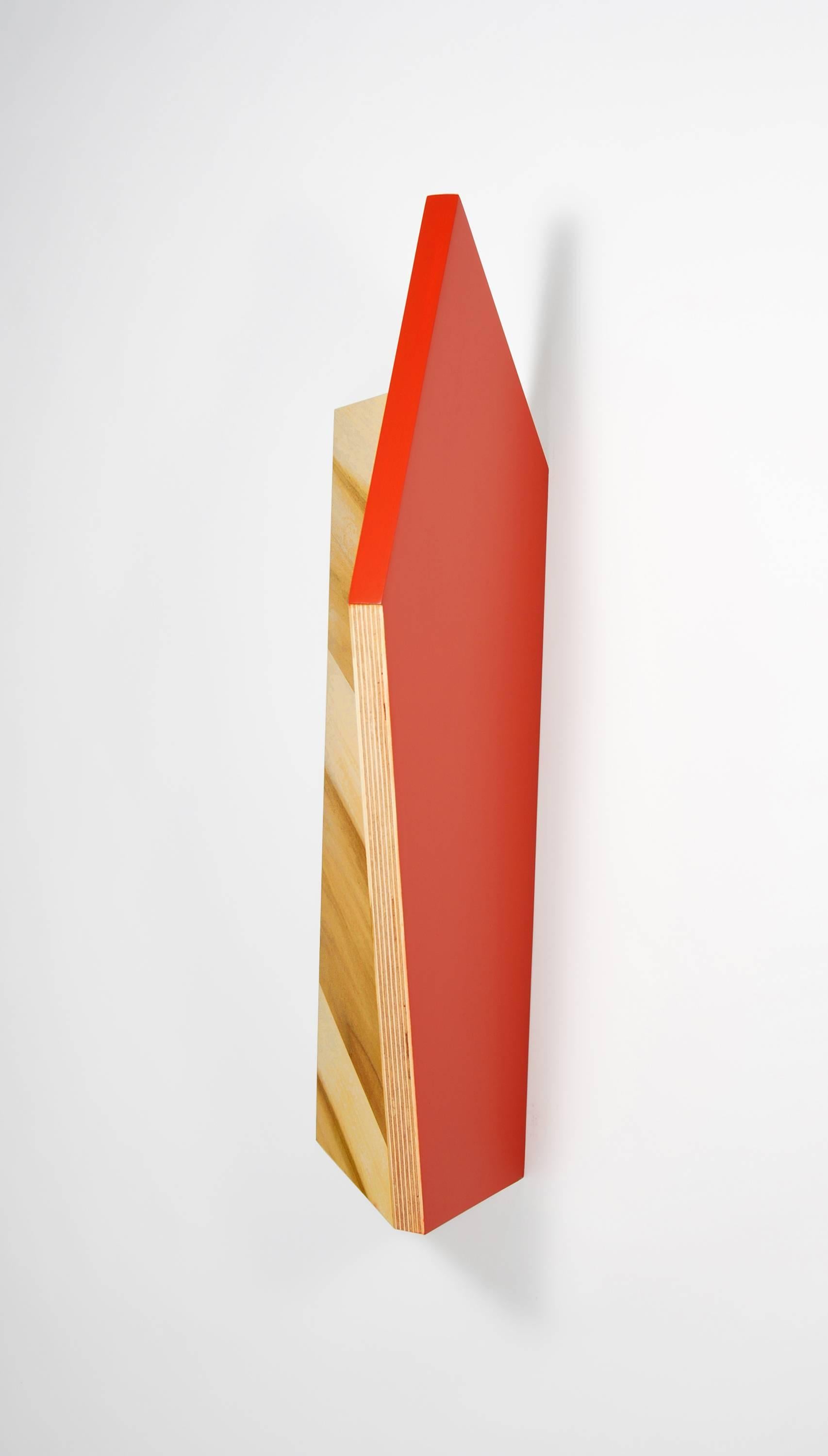 Richard Bottwin, Mike's Arm, 2018, pioppo, compensato, pittura acrilica in vendita 2