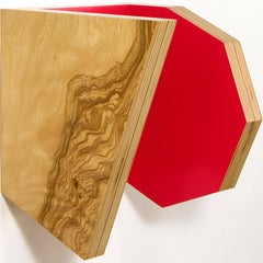 Richard Bottwin, Paralelo nº 6, 2006, Chapas de madera y acrílico