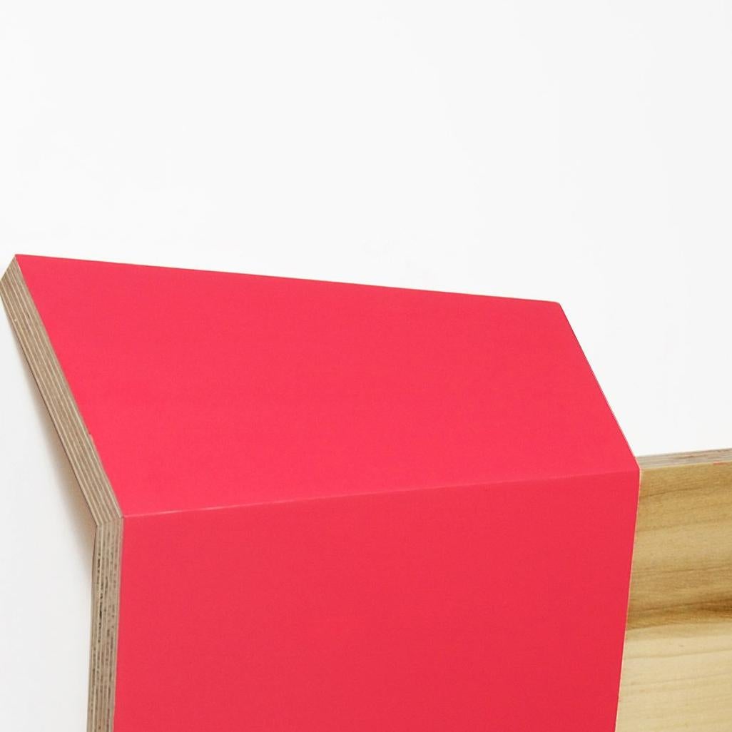 Richard Bottwin, Square 2, 2018, poplar, plywood, acrylic paint 3