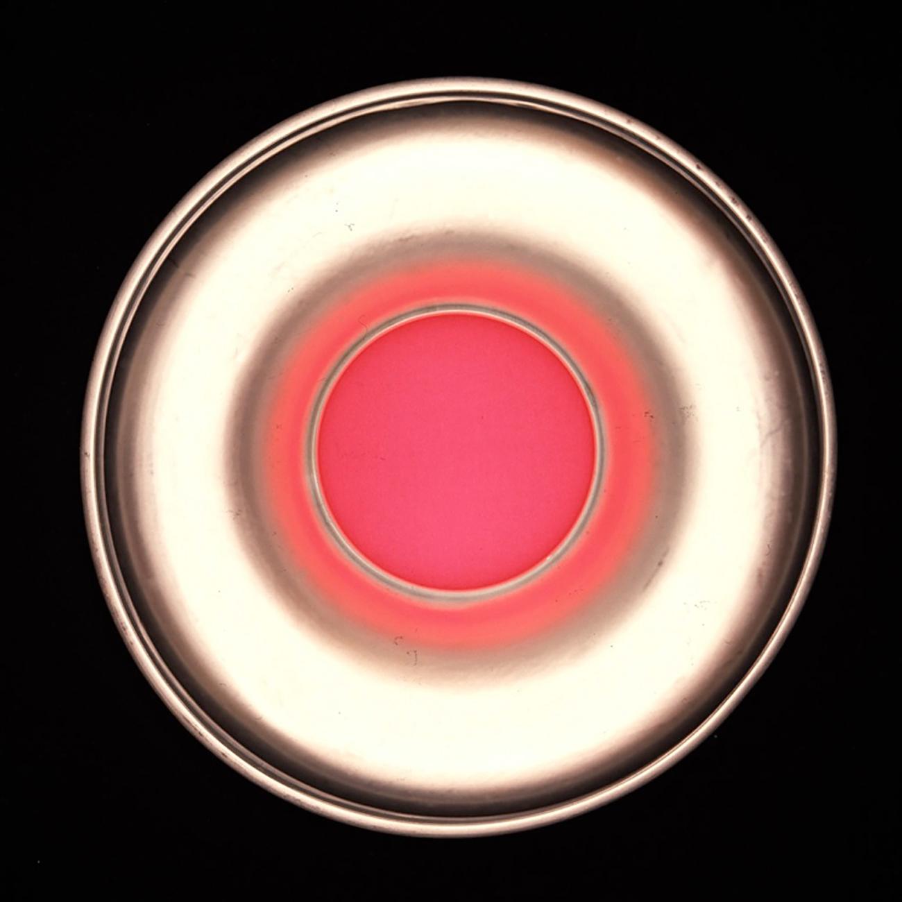 Hole rose (photos abstraites) - Abstrait Photograph par Richard Caldicott