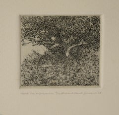 "Manzano y parra" - 1968 Aguafuerte sobre papel