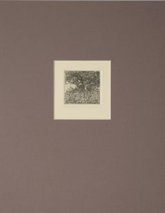 "Apple Tree and Grapevine" - 1968 Etching on Paper