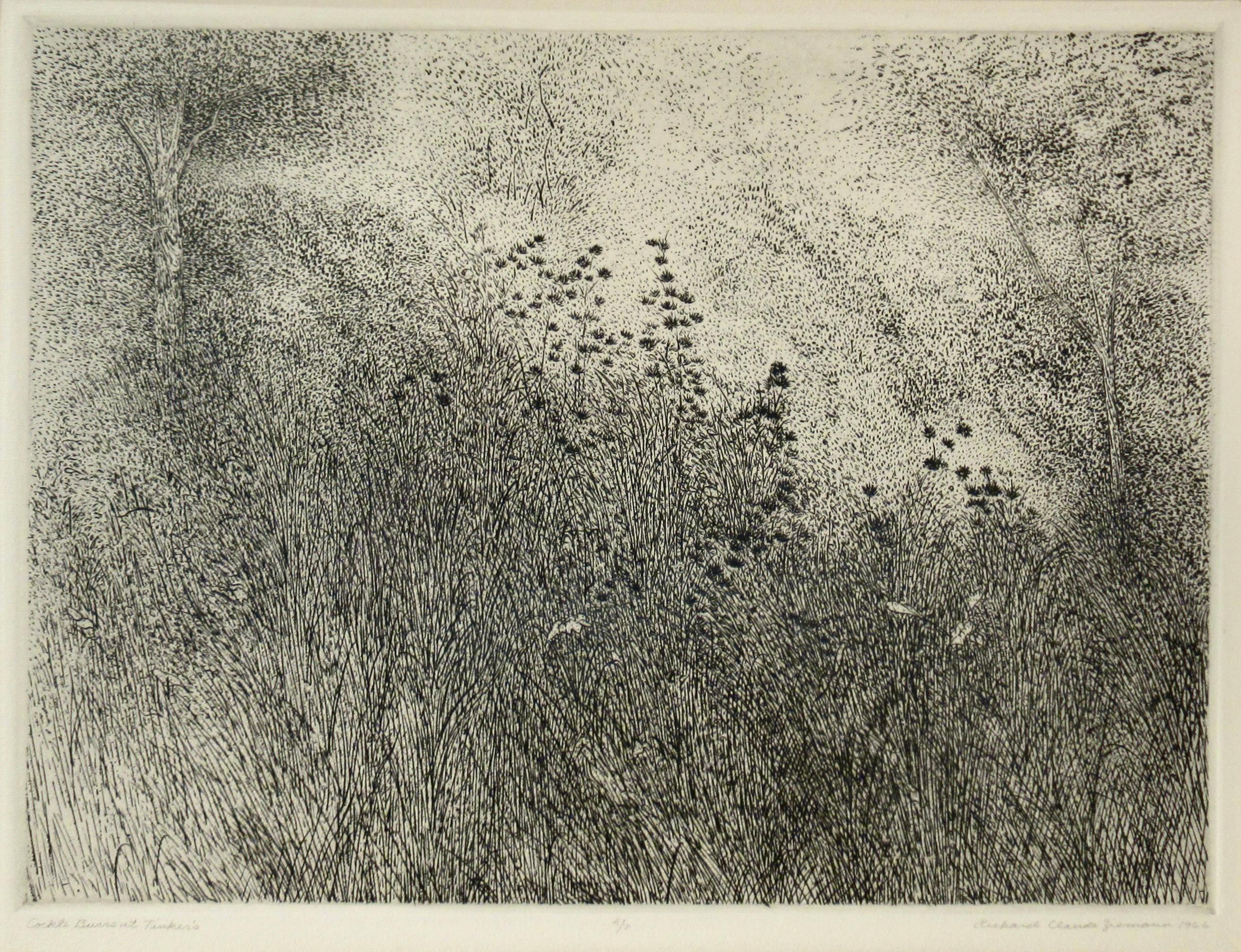 Herzmuschelgrate bei Tinker's – Print von Richard Claude Ziemann