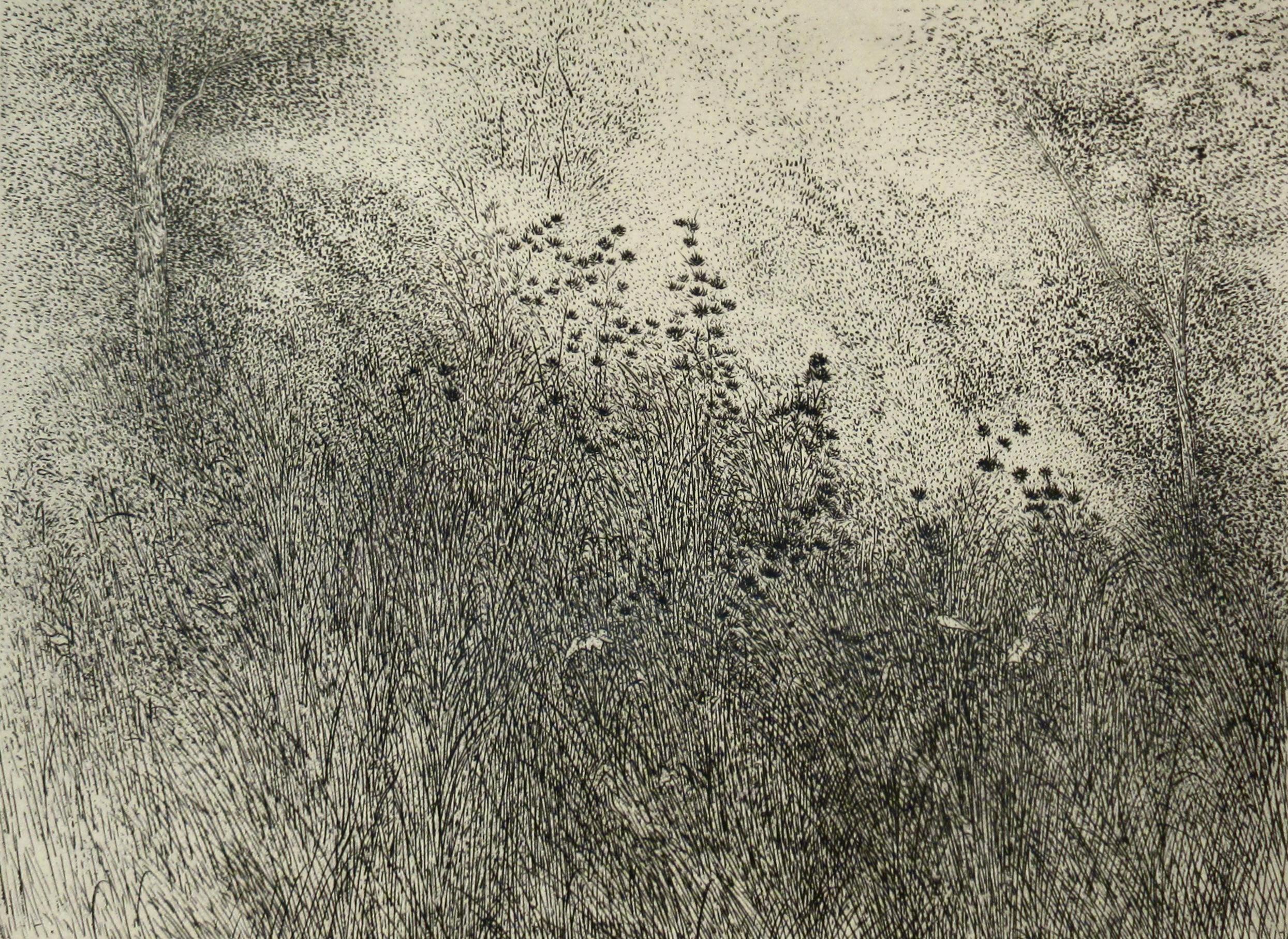 Herzmuschelgrate bei Tinker's (Amerikanische Moderne), Print, von Richard Claude Ziemann