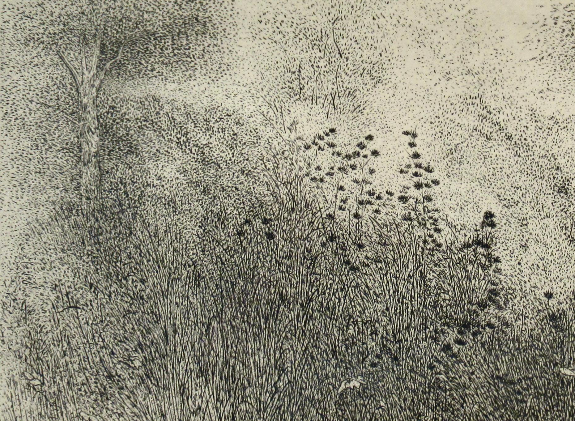 Herzmuschelgrate bei Tinker's (Beige), Figurative Print, von Richard Claude Ziemann