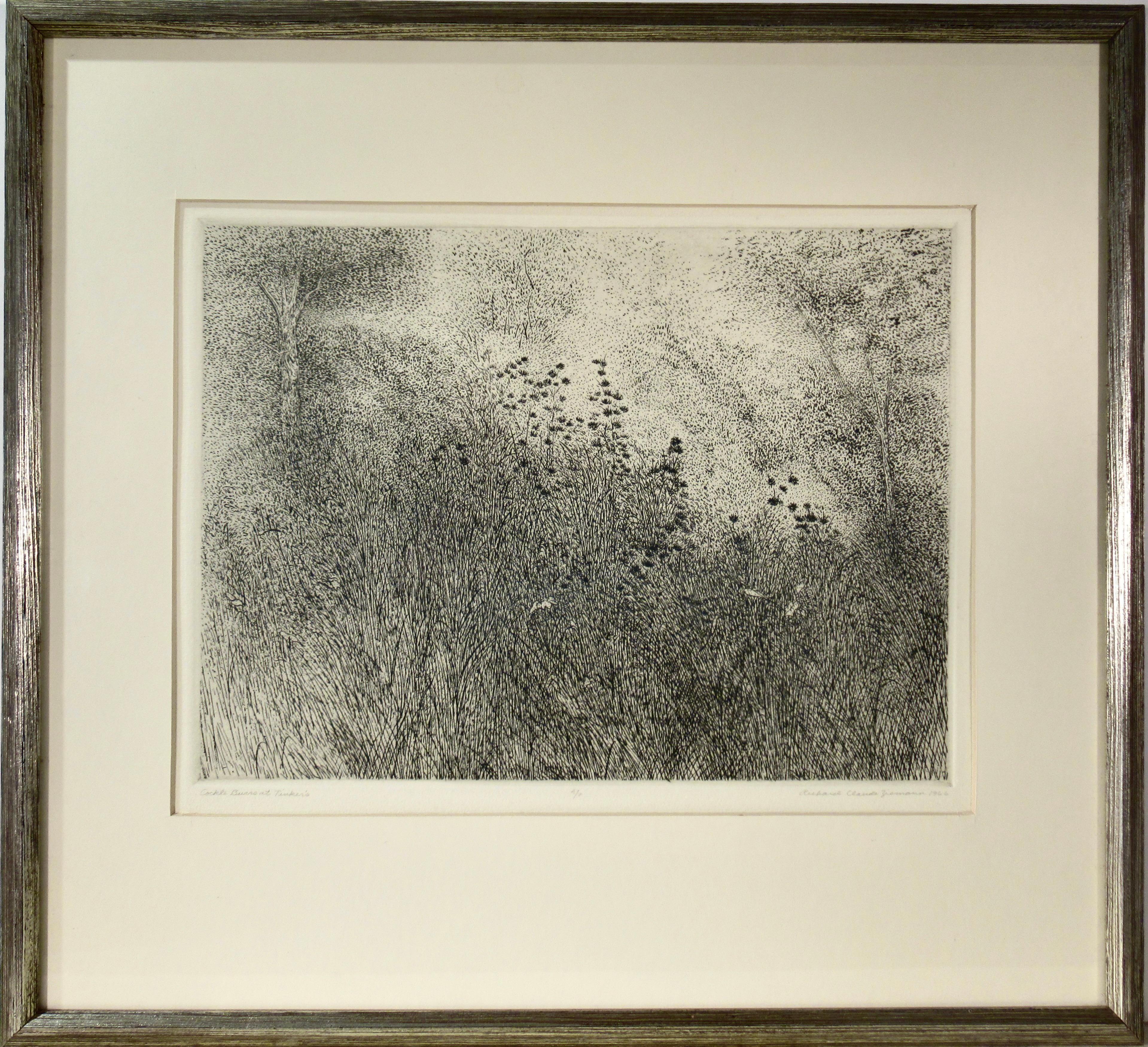 Framed Impresiones de paisajes