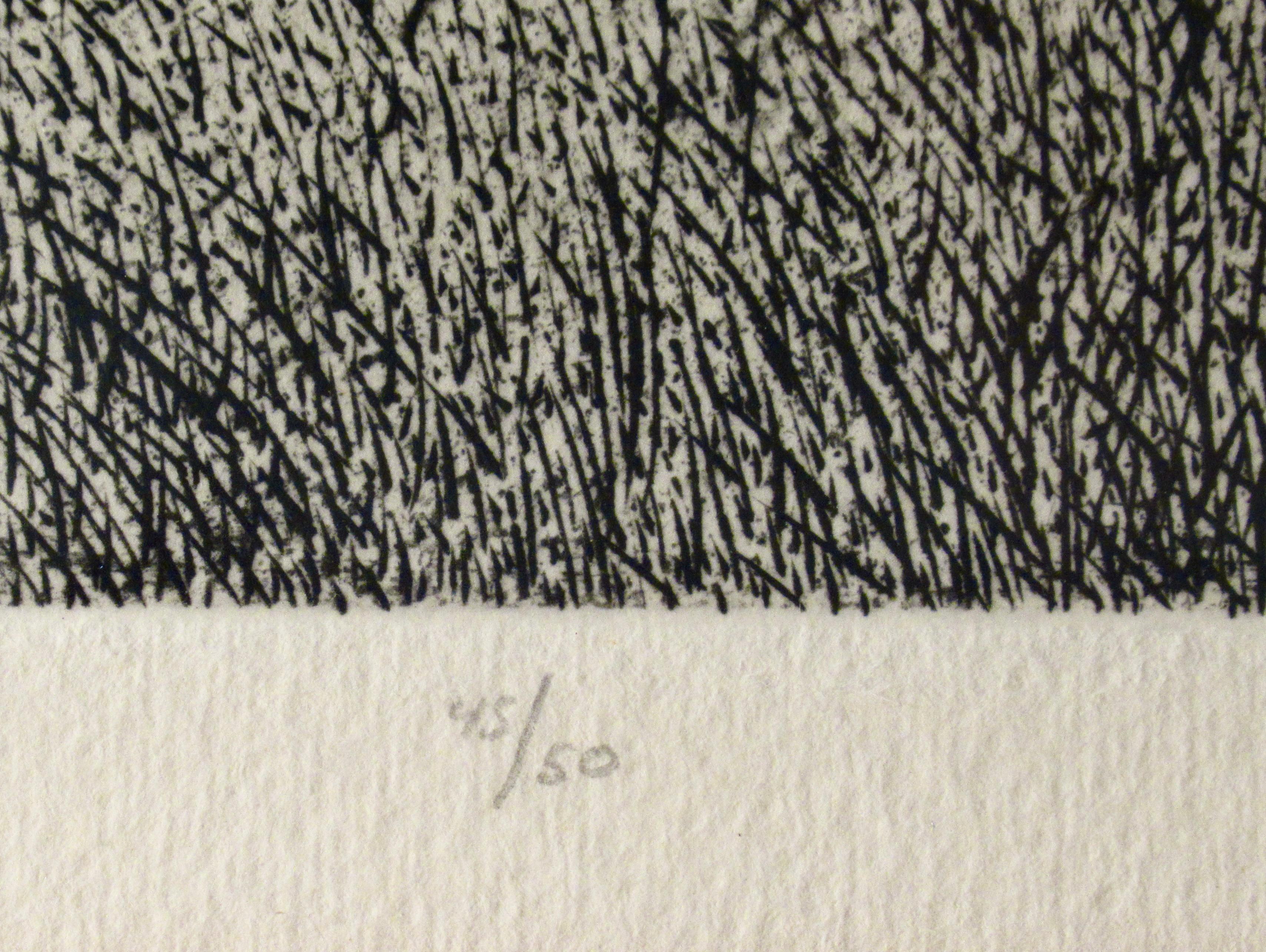 Kazakh Steppes For Sale 2