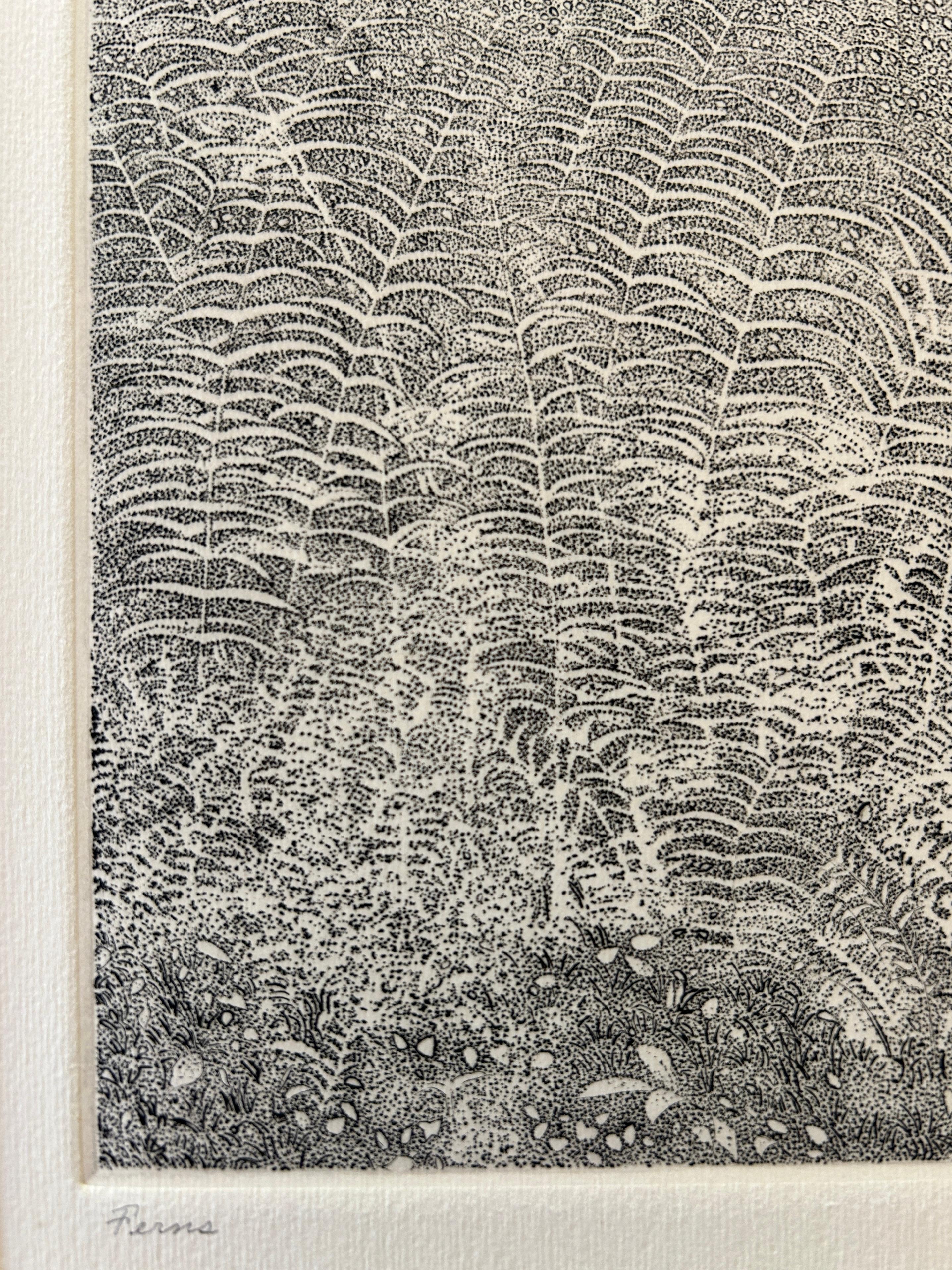 Richard Ziemann 'Ferns' Limited Edition Signed Etching Print - Gray Landscape Print by Richard Claude Ziemann