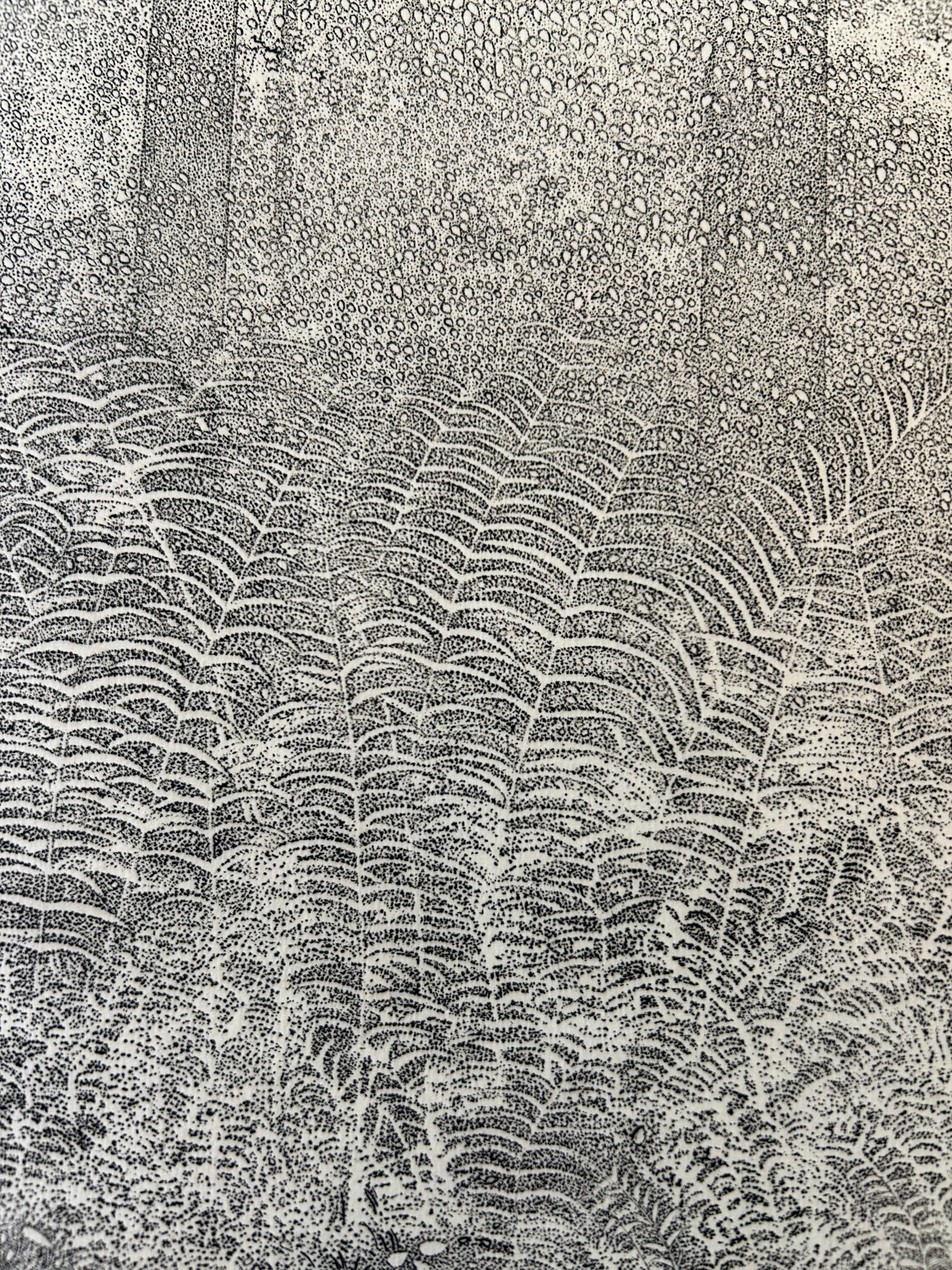 Richard Ziemann 'Ferns' Limited Edition Signed Etching Print For Sale 1