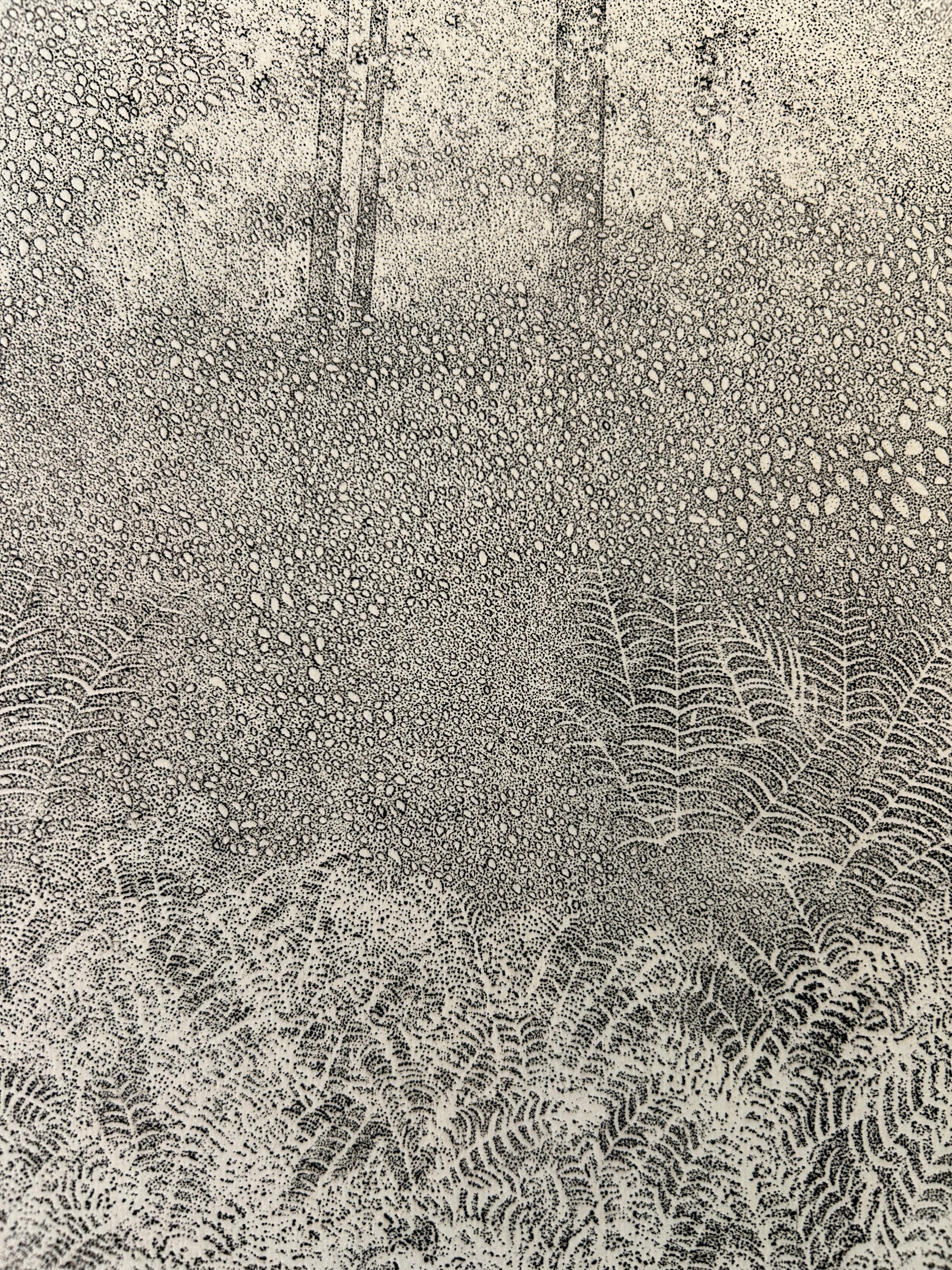 Richard Ziemann 'Ferns' Limited Edition Signed Etching Print For Sale 2