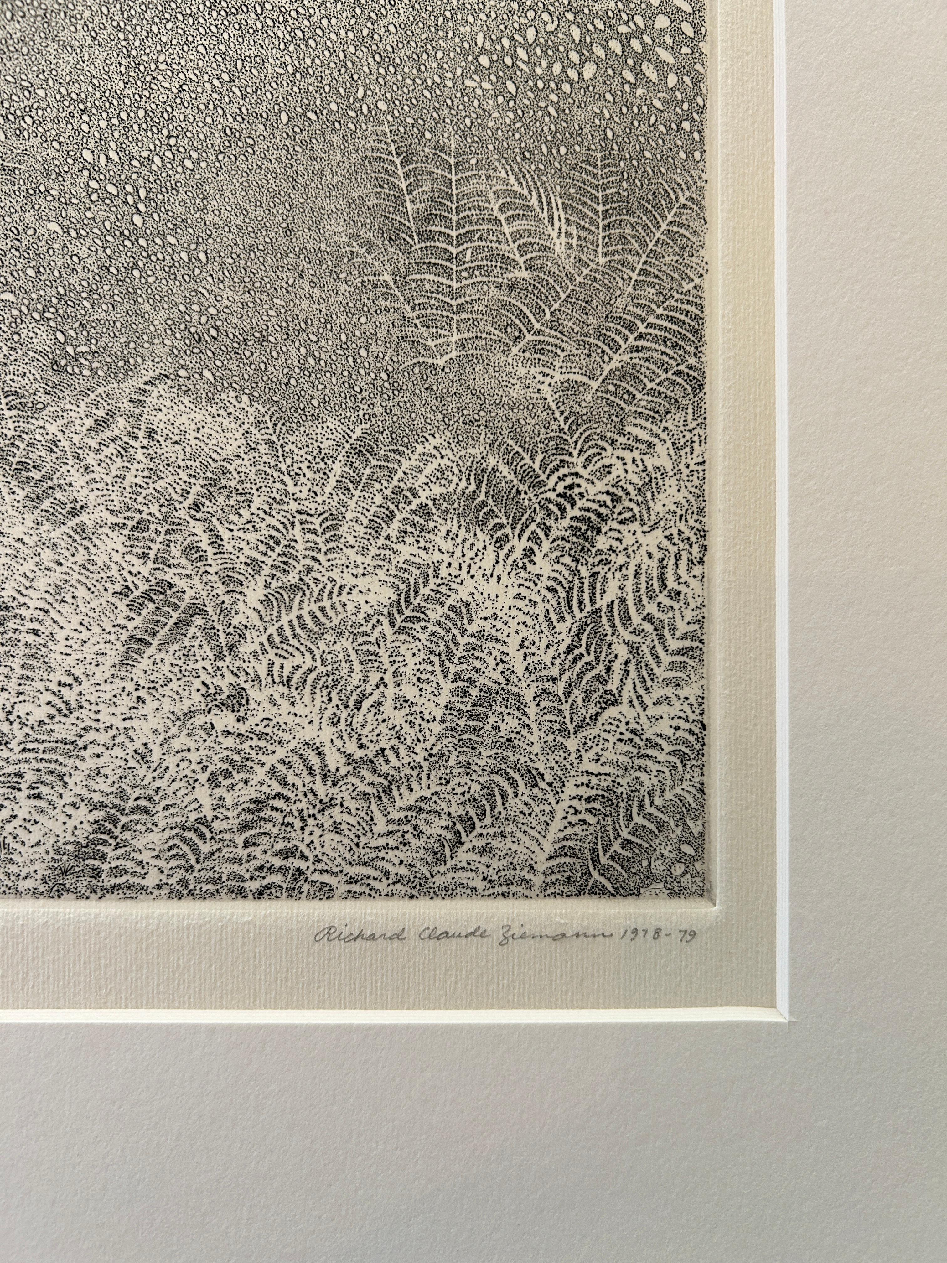 Richard Ziemann 'Ferns' Limited Edition Signed Etching Print For Sale 3
