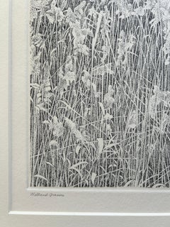 Richard Ziemann 'Wetland Grasses' Limited Edition Signed Etching Print