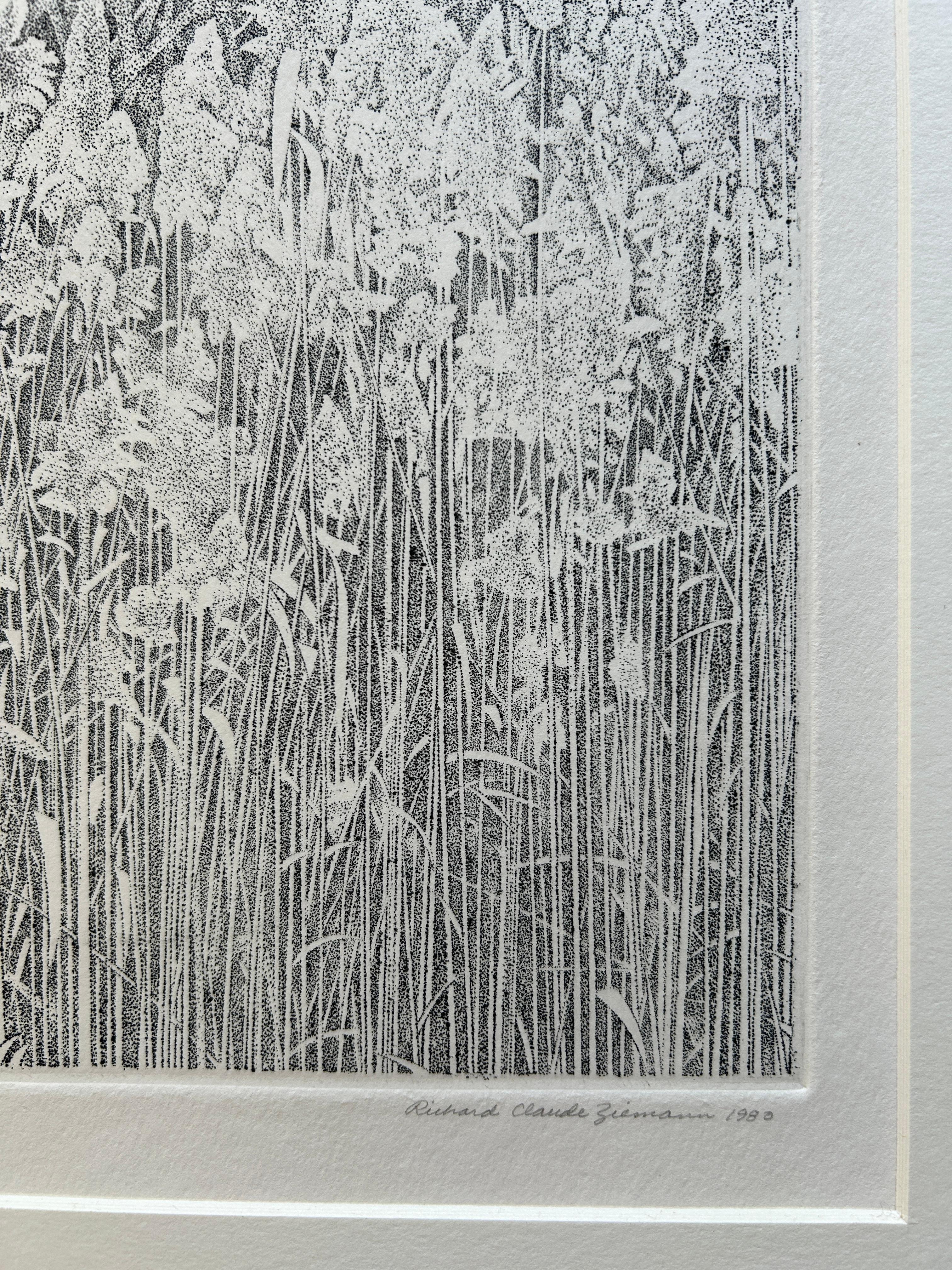 Richard Claude Ziemann (American, b 1932)
'Weland Grasses' 1980
Etching on wove paper
Edition 138/175
Titled in pencil lower left
Signed and dated in pencil lower right
Image (plate) : 10in. H x 11 3/4in. L
Overall: 15in H x 16in L
With mat: 16in H
