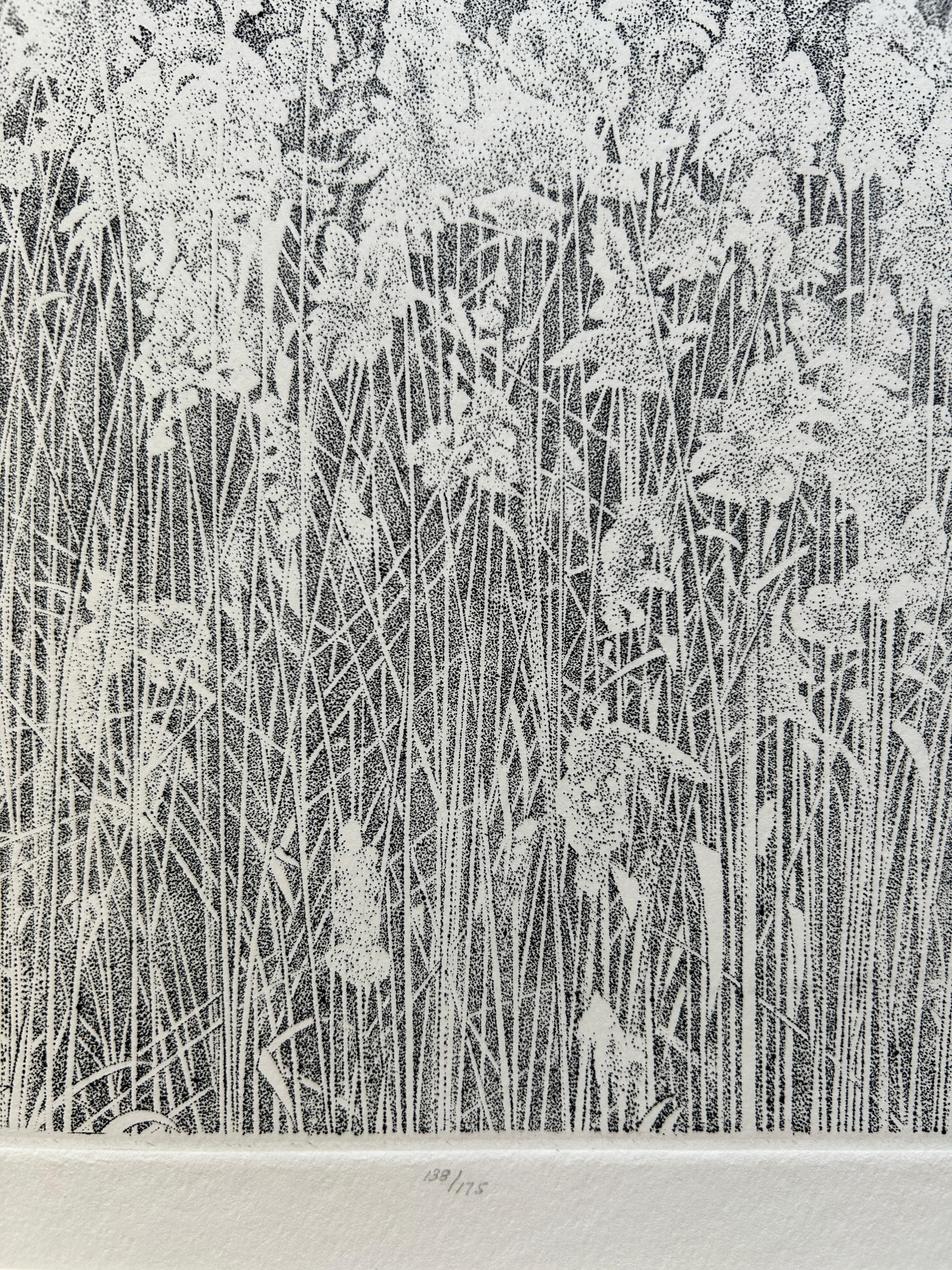 Richard Ziemann 'Wetland Grasses' Limited Edition Signed Etching Print For Sale 1