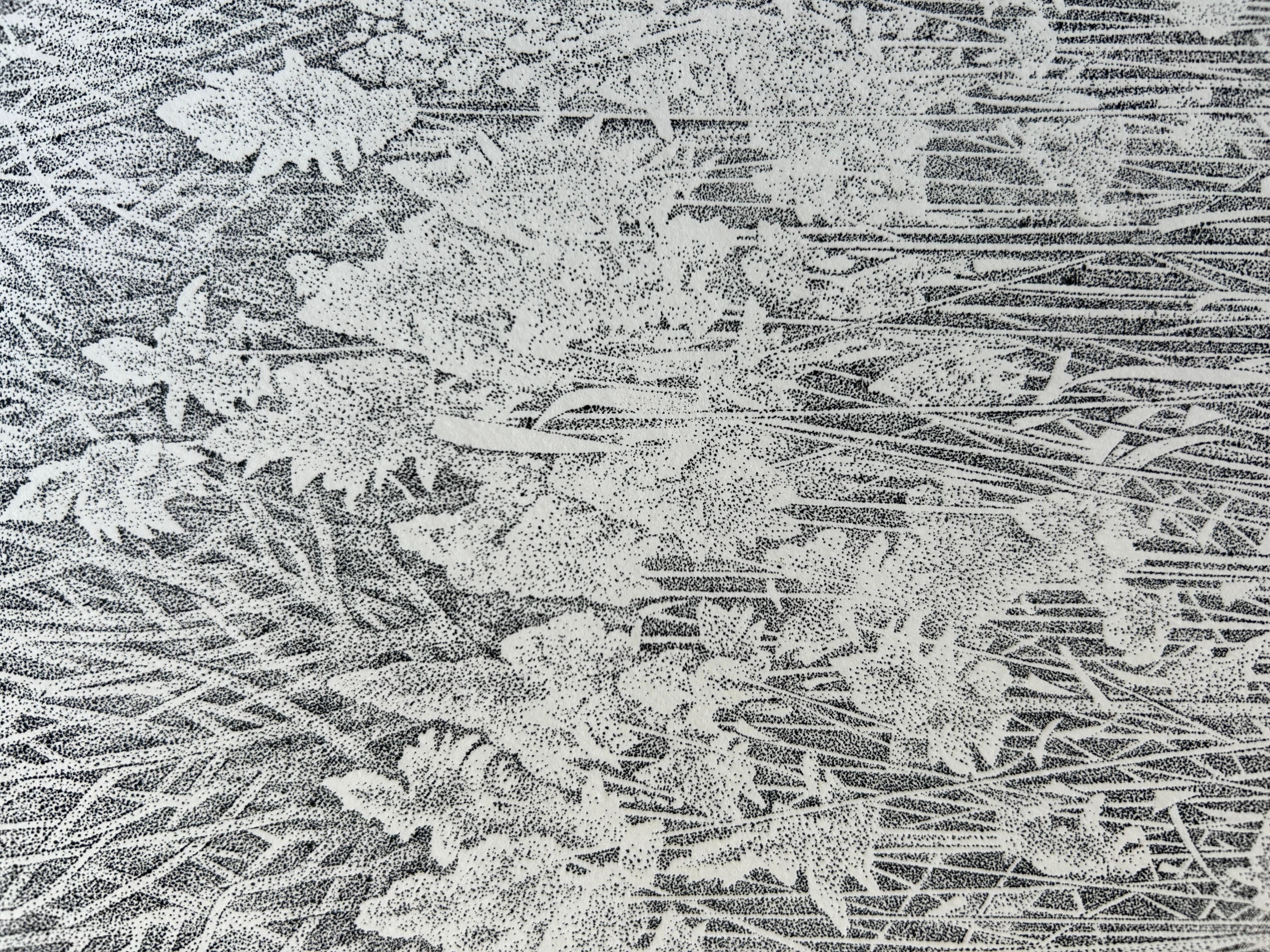 Richard Ziemann 'Wetland Grasses' Limited Edition Signed Etching Print For Sale 2