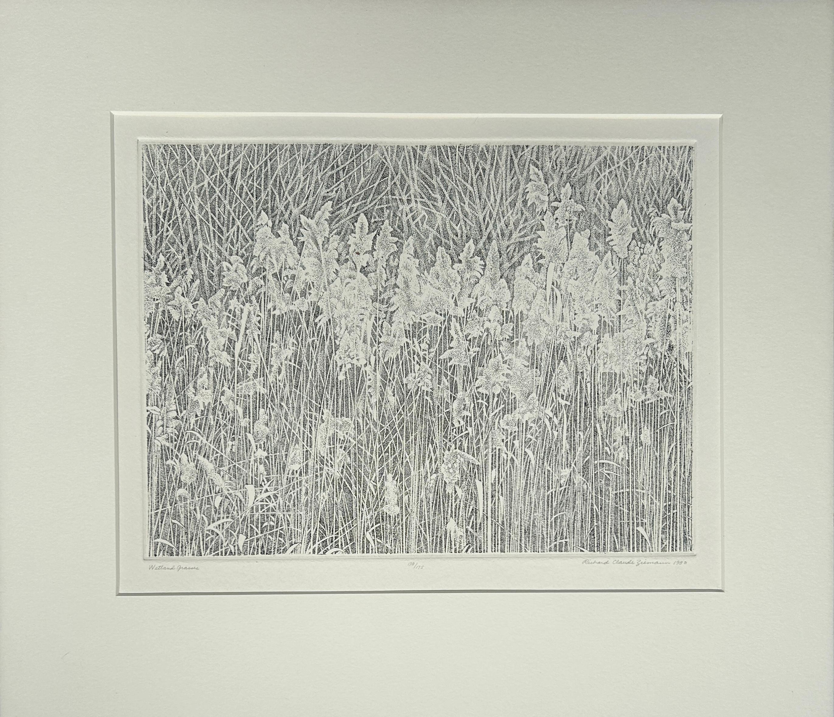 Richard Ziemann 'Wetland Grasses' Limited Edition Signed Etching Print For Sale 4