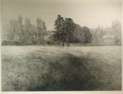 Campo de verano