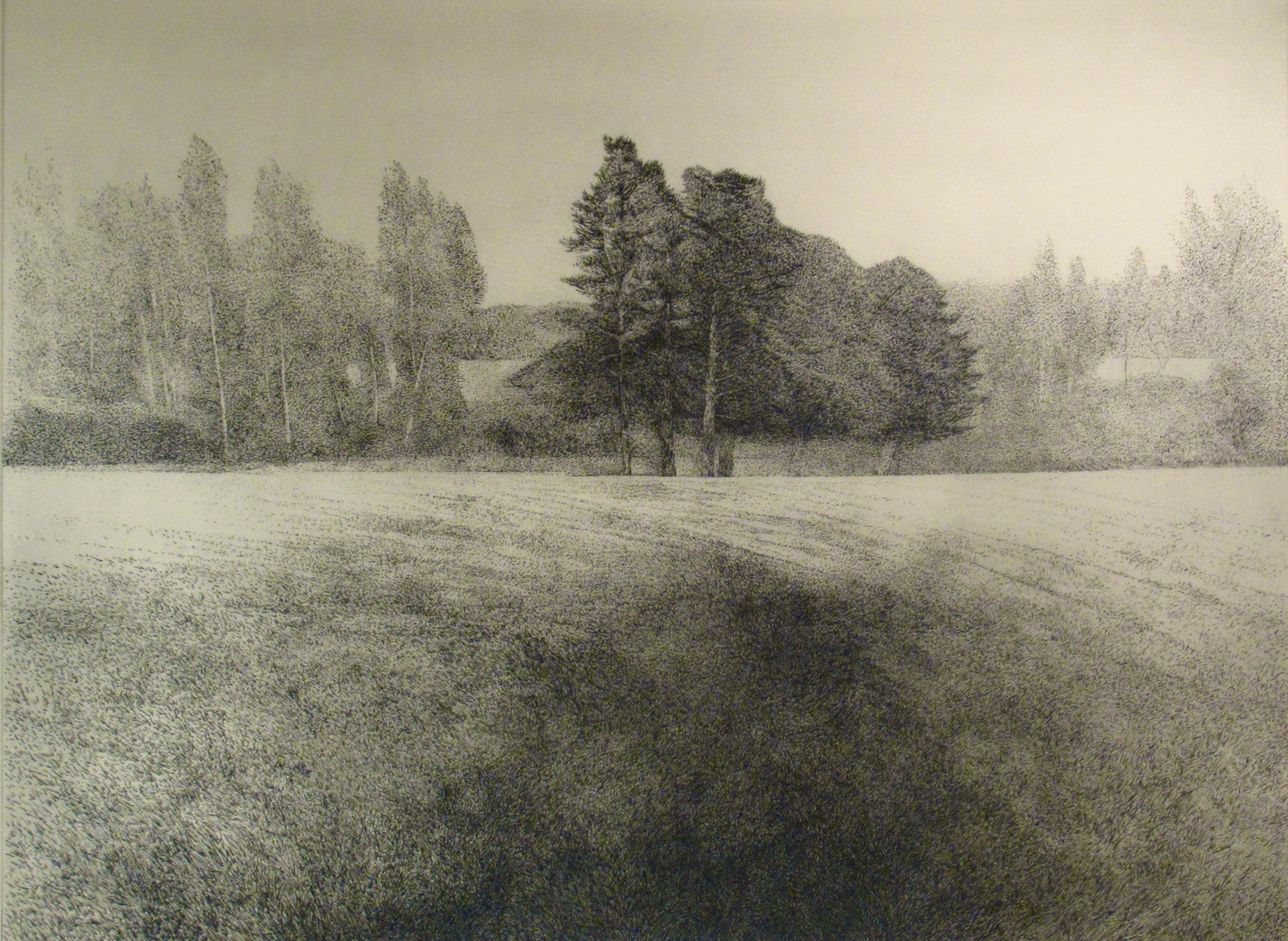 Summer Field - American Modern Print by Richard Claude Ziemann