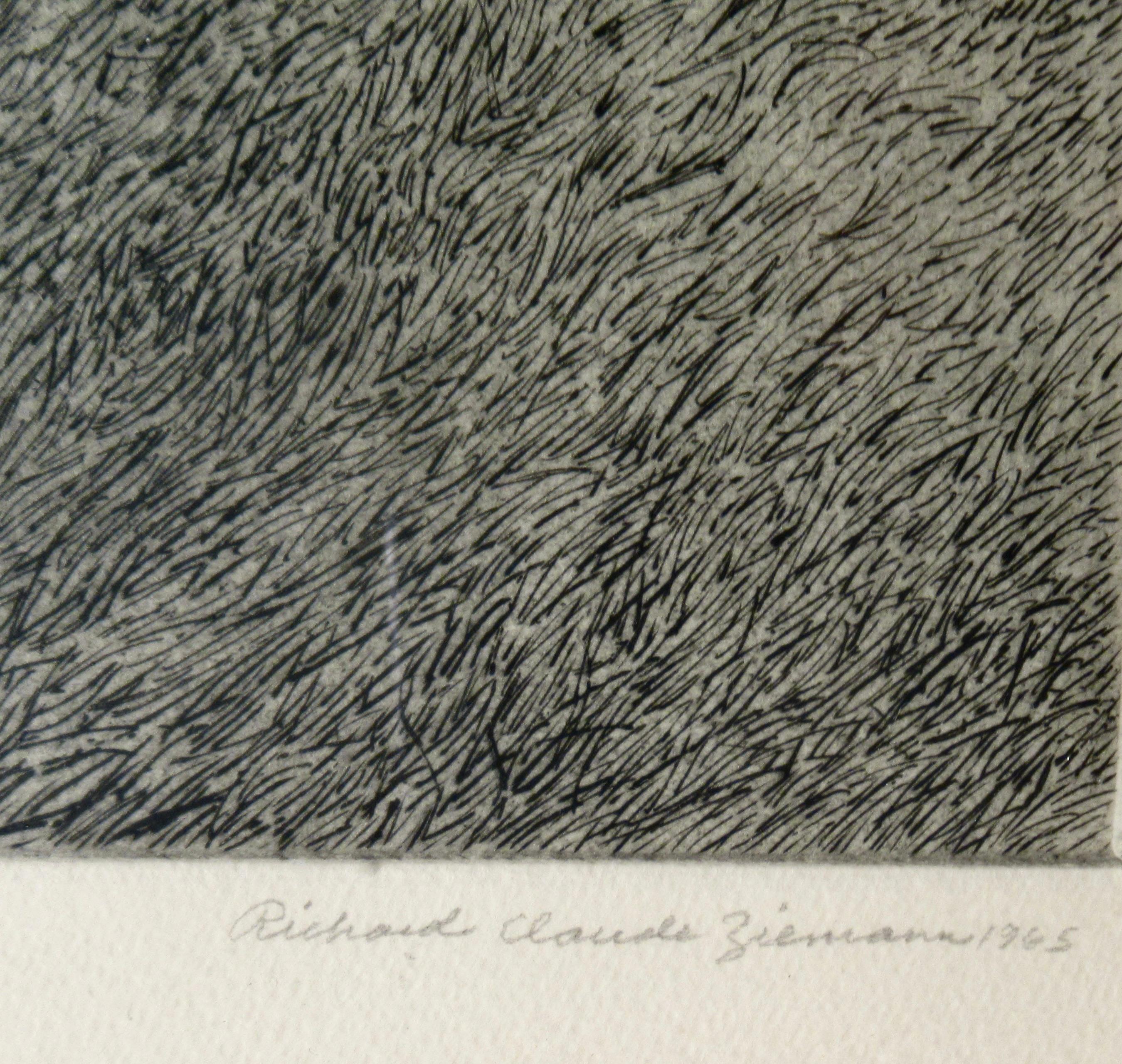 Summer Field For Sale 1