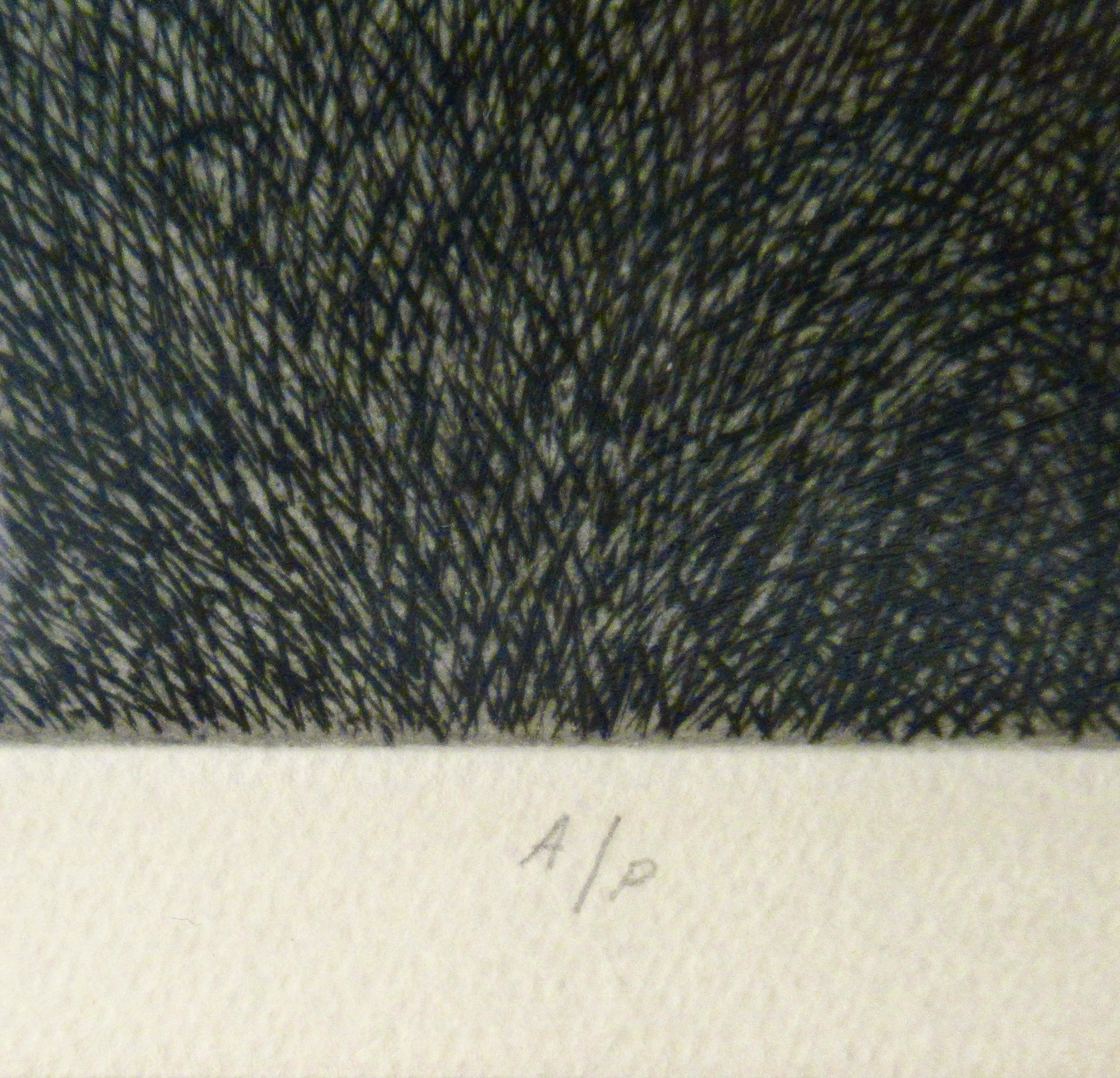 Summer Field For Sale 2