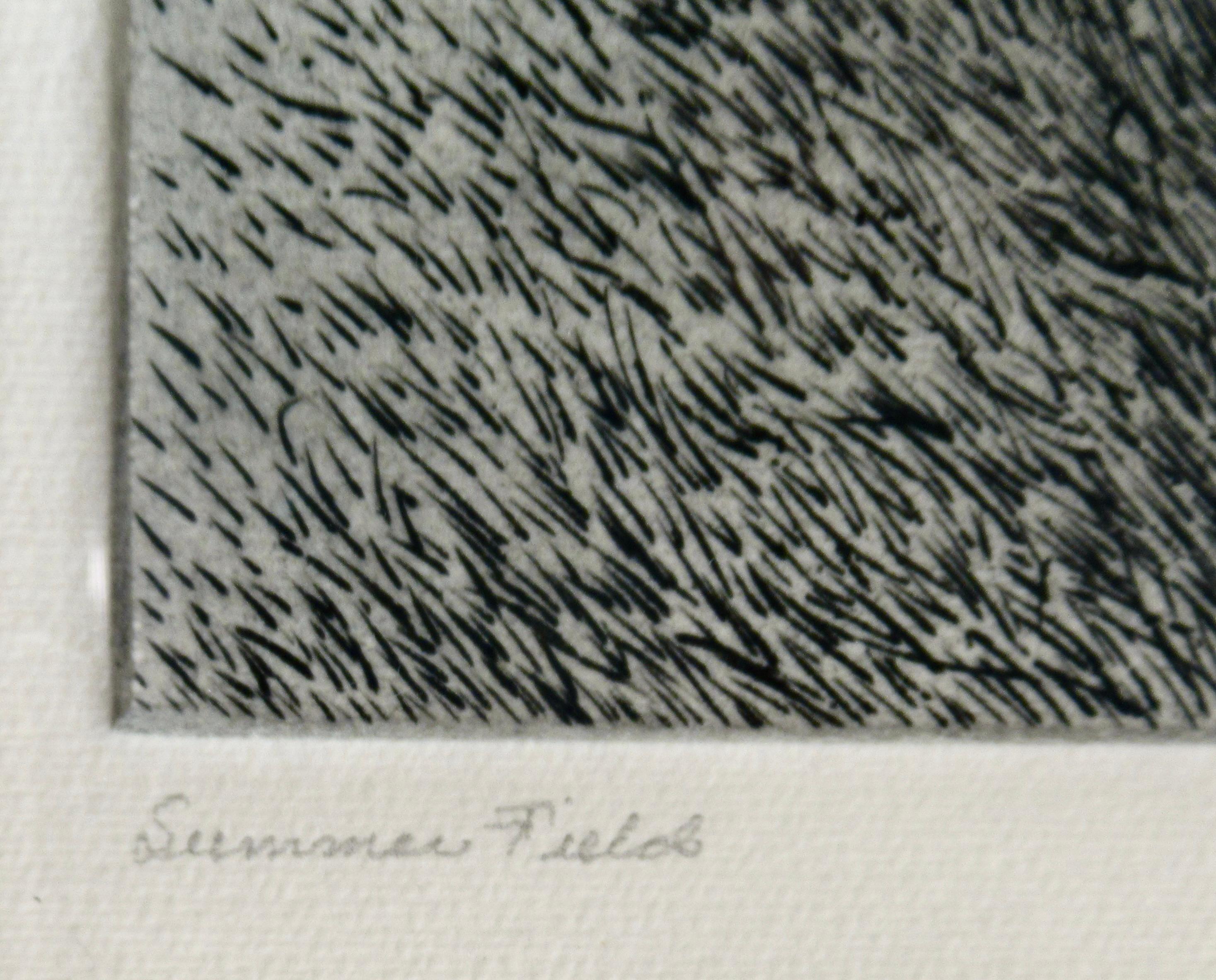 Summer Field For Sale 3