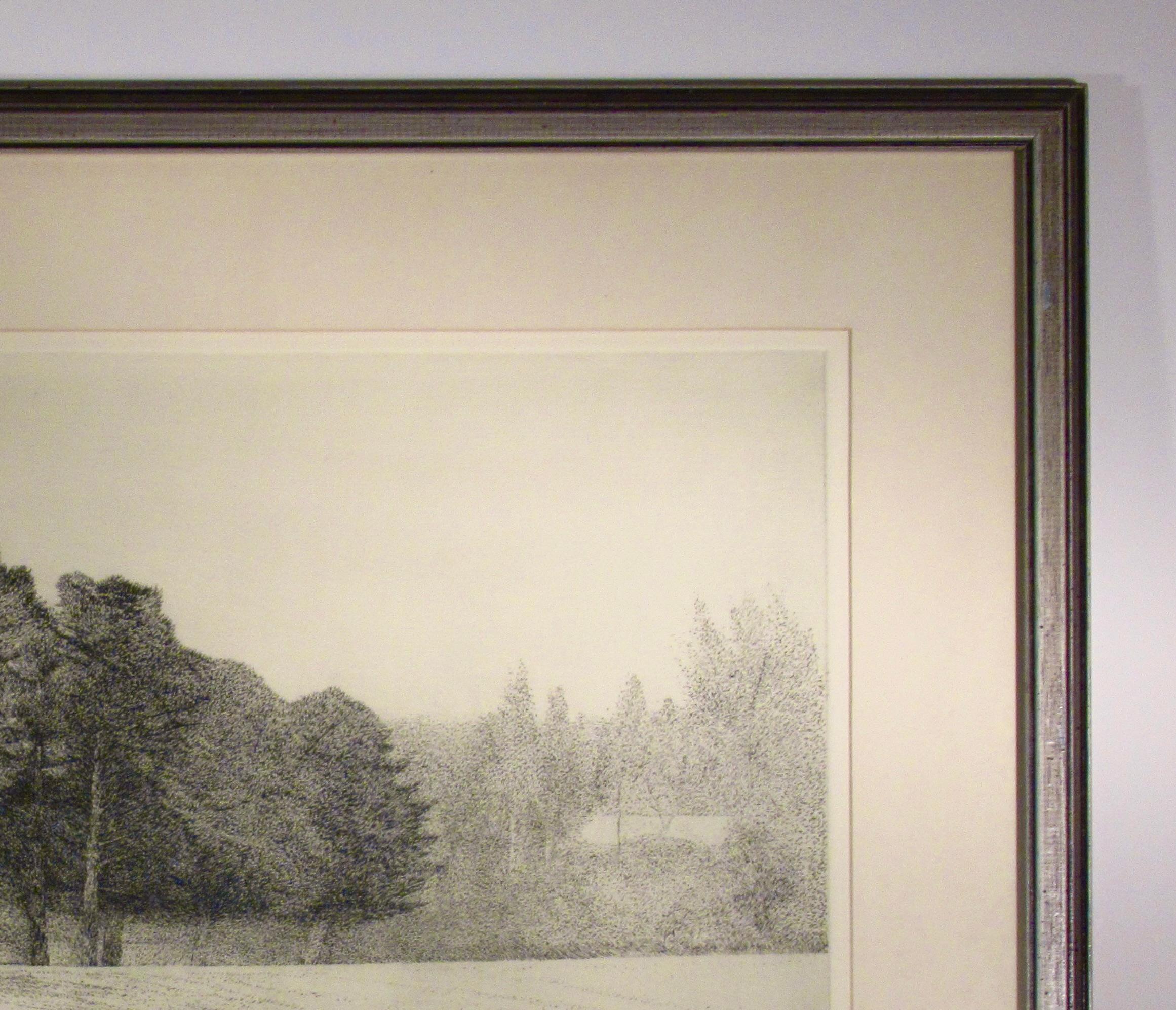 Summer Field For Sale 4