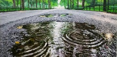 MORNING RAINFALL CENTRAL PARK - Landscape / Contemporary Realism / Water