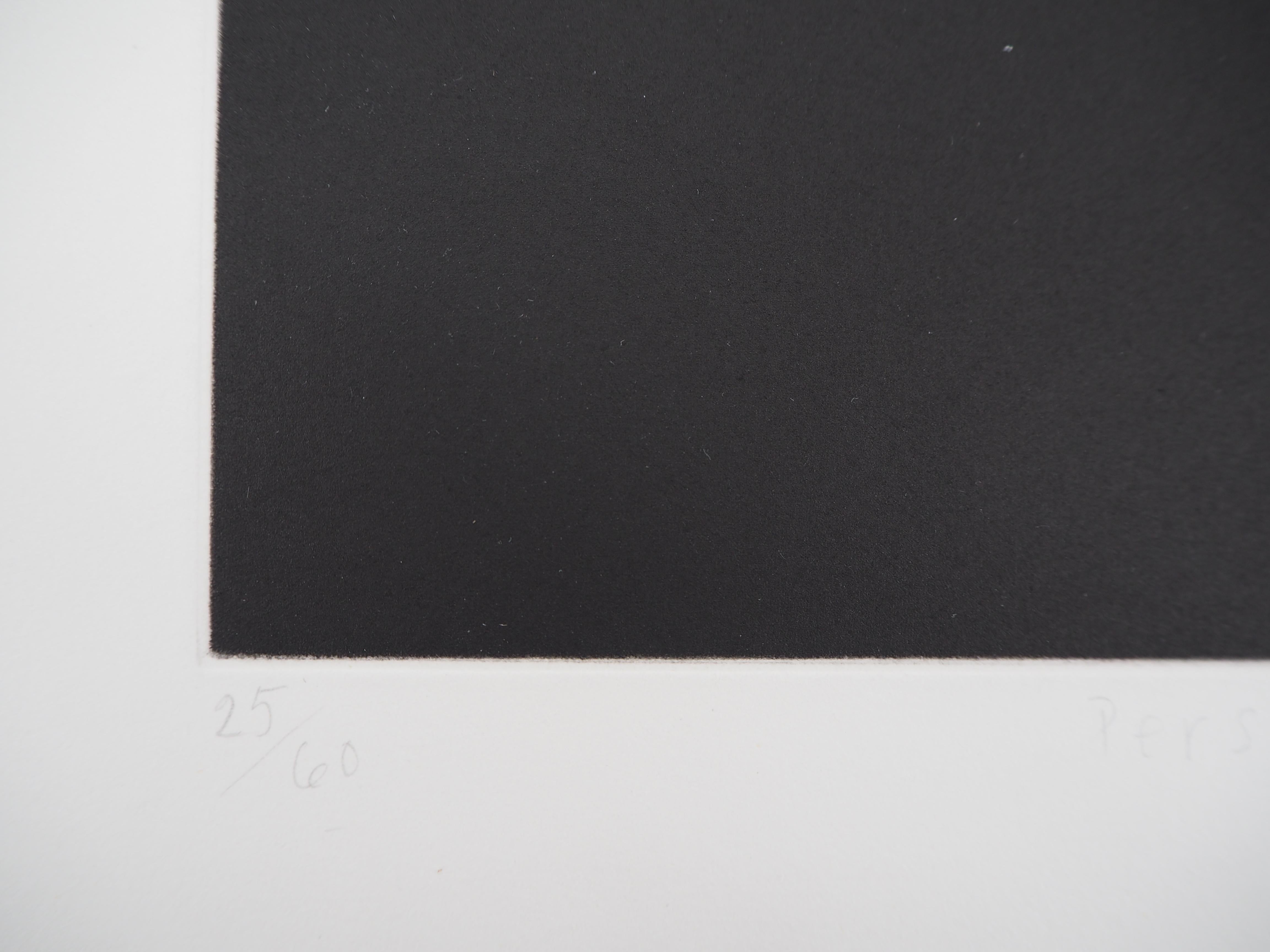 Persephone - Original Handsigned Etching - Ltd 60 copies - Modern Print by Richard Davies