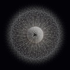 New Media Prints and Multiples