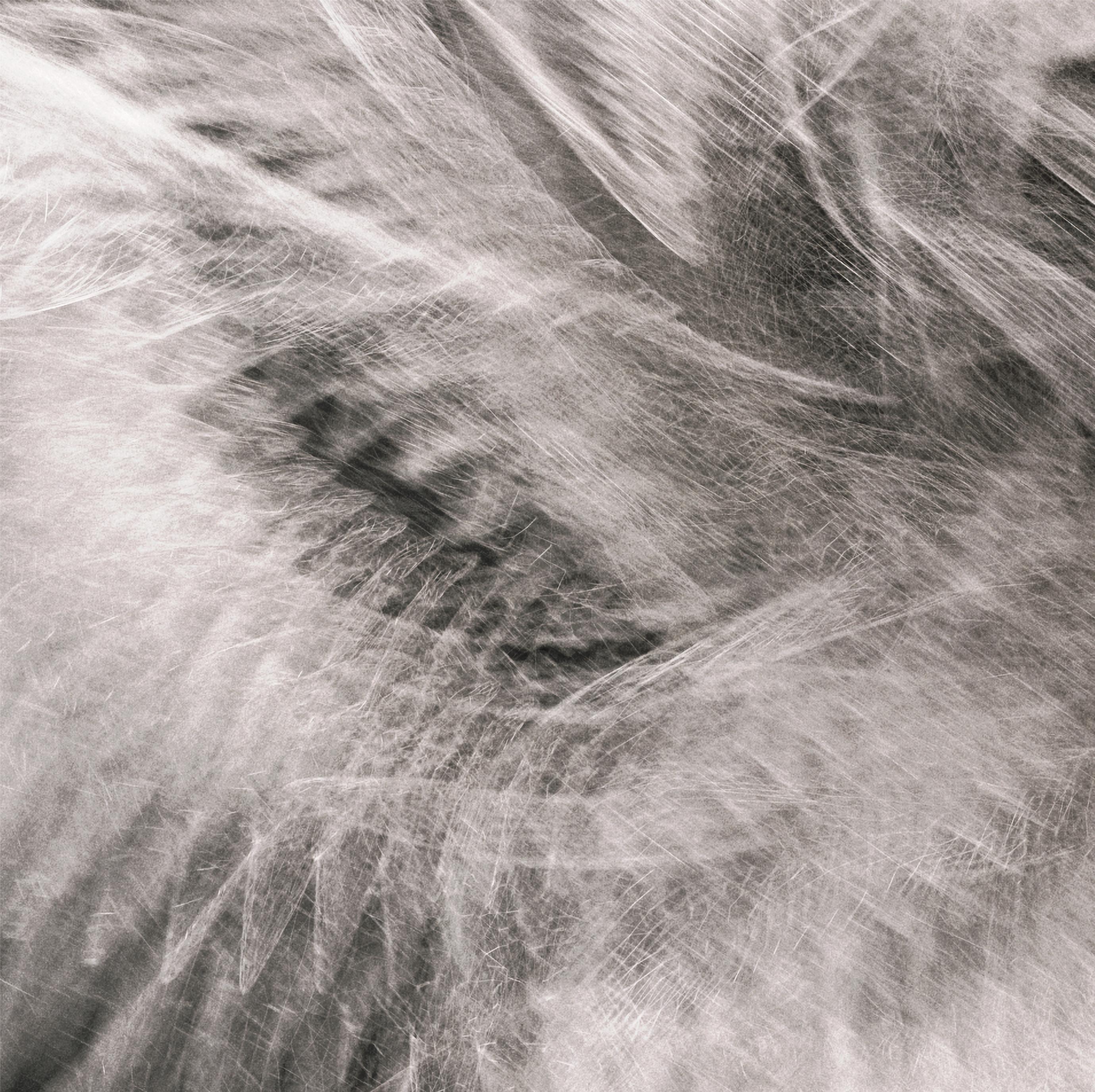 Icarus by Richard Devonshire, 3D rendering, Limited Edition - Print by Richard DEVONSHIRE
