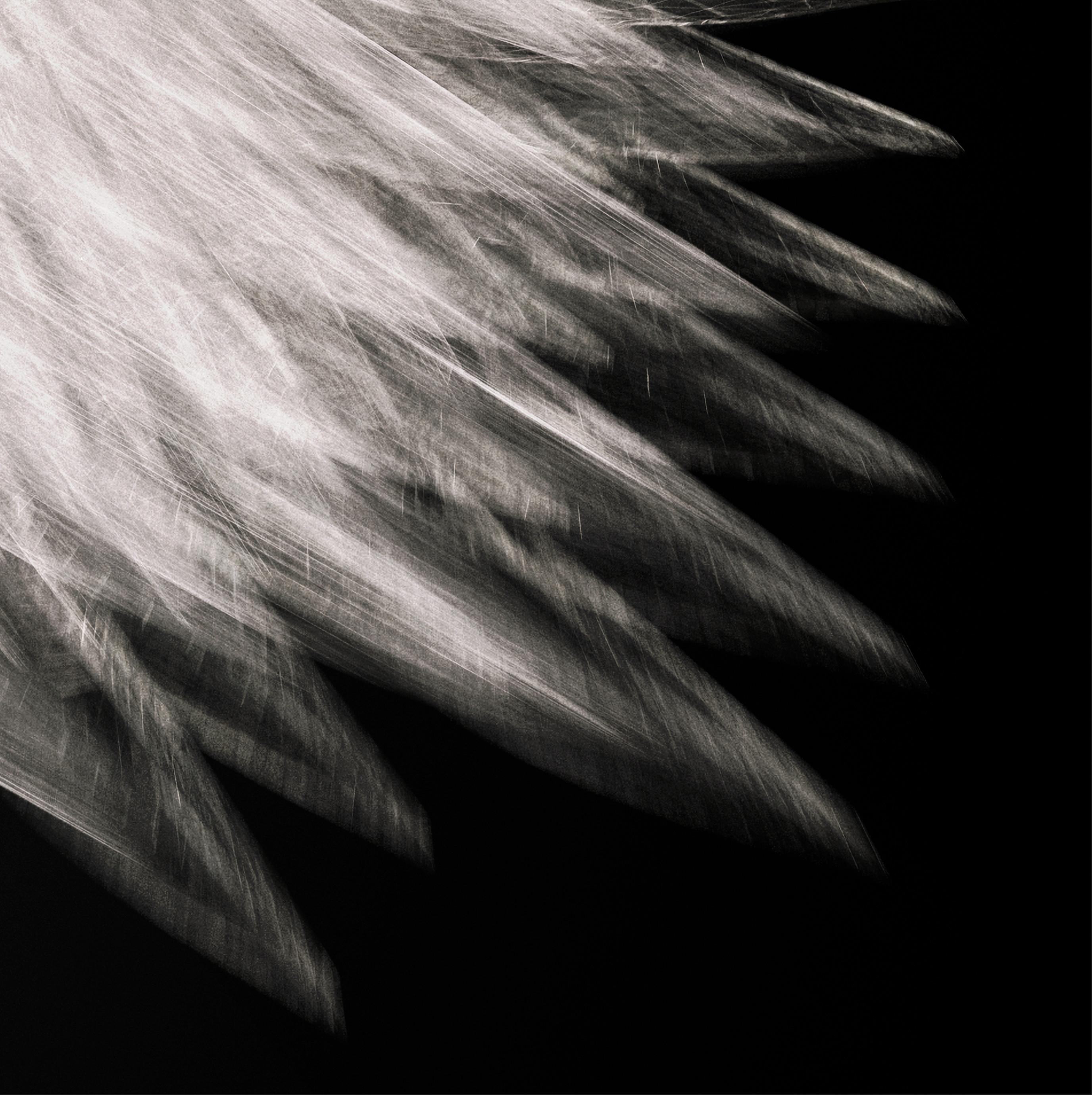 Icarus by Richard Devonshire, 3D rendering, Limited Edition - New Media Print by Richard DEVONSHIRE