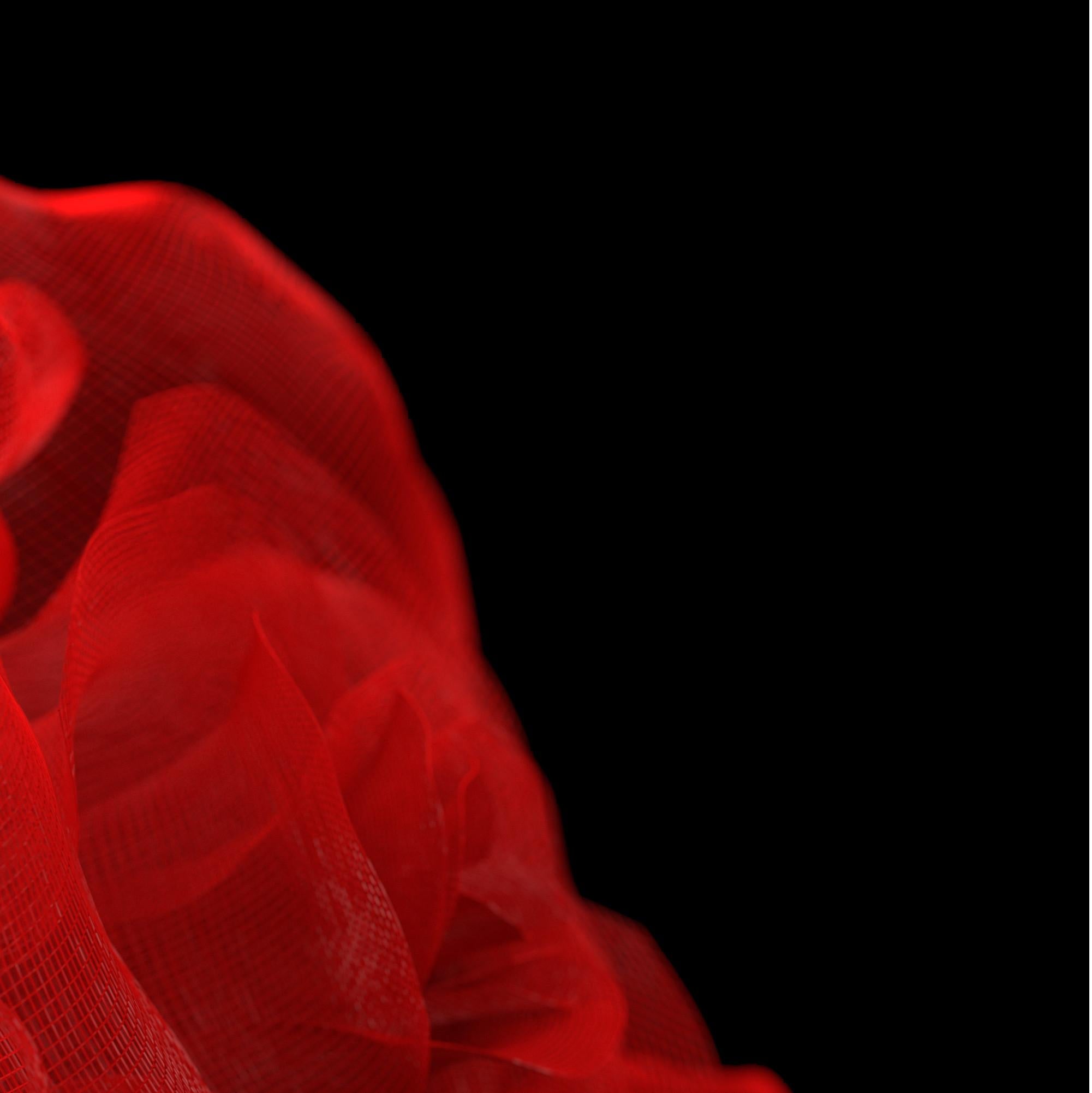 Now Sleeps the Crimson Petal by Richard Devonshire, 3D rendering Limited Edition - Black Figurative Print by Richard DEVONSHIRE