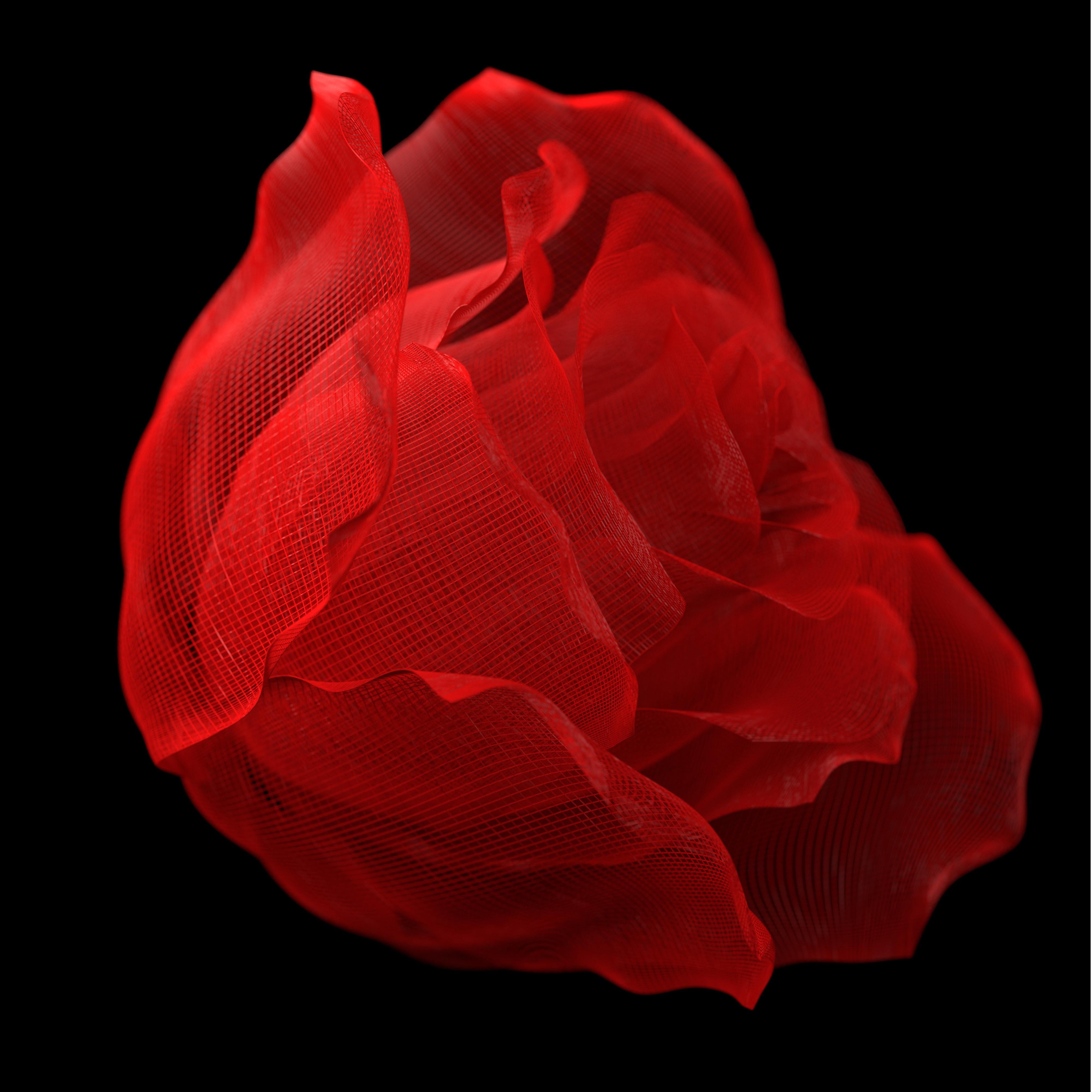 Richard DEVONSHIRE Figurative Print - Now Sleeps the Crimson Petal by Richard Devonshire, 3D rendering Limited Edition