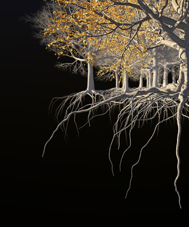 Oak of the Golden Dream by Richard Devonshire, 3D rendering, Limited Edition - New Media Print by Richard DEVONSHIRE