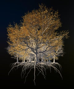 Oak of the Golden Dream by Richard Devonshire, 3D rendering, Limited Edition