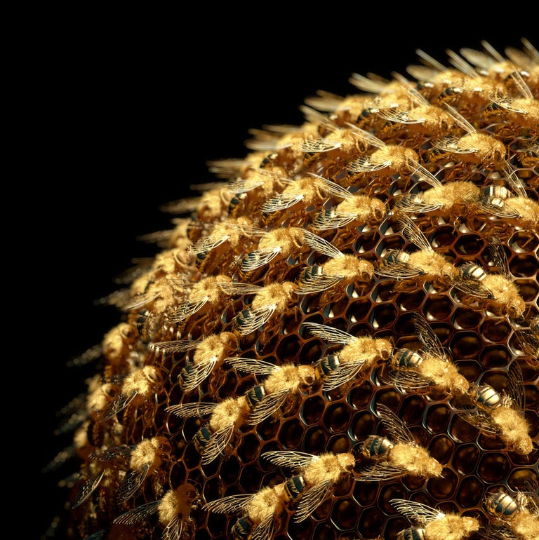 The Hive of Bees by Richard Devonshire, 3D rendering, Limited Edition - Print by Richard DEVONSHIRE