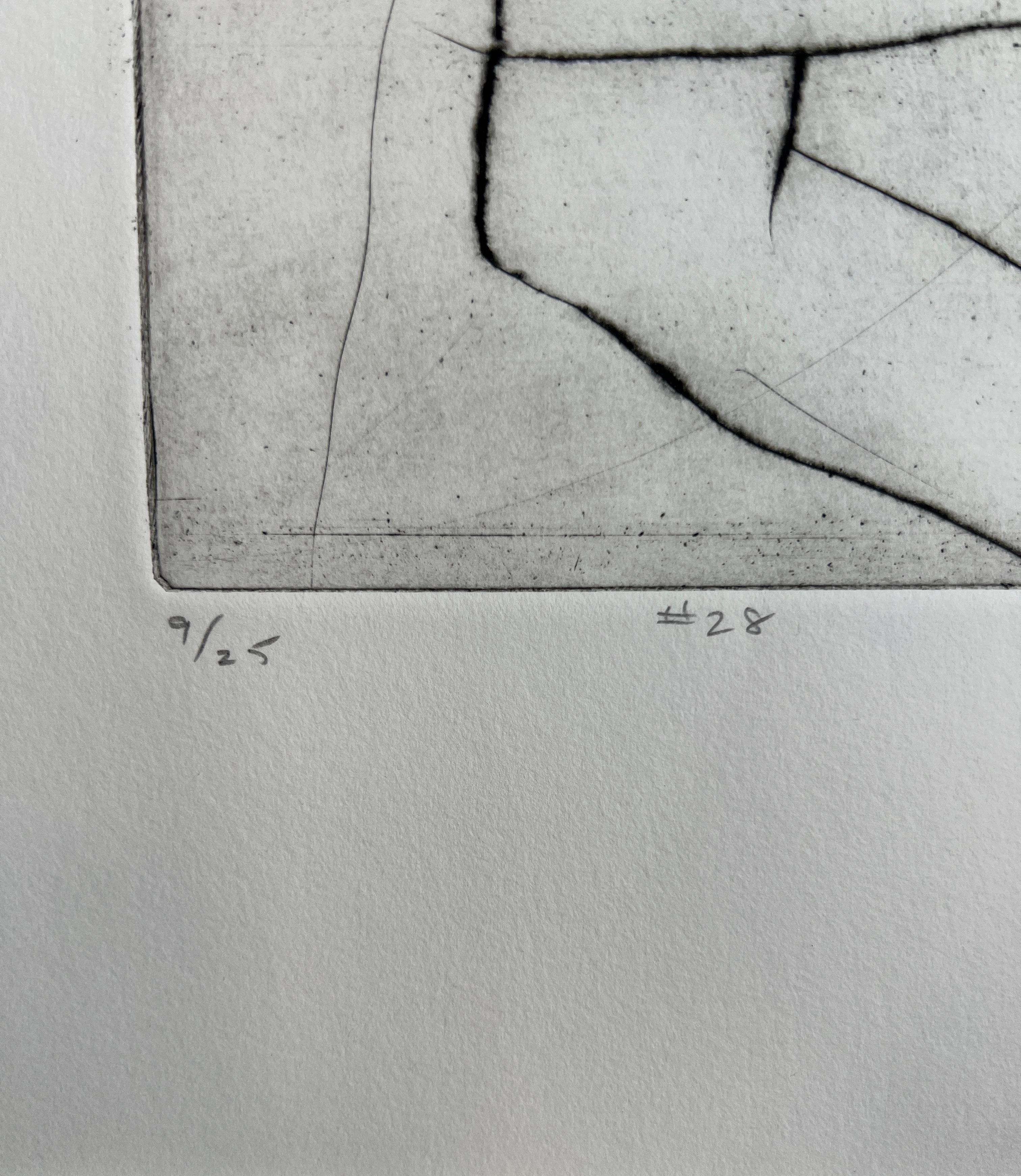 Richard Diebenkorn #28 from 41 Etchings Drypoints Crown Point Press 5