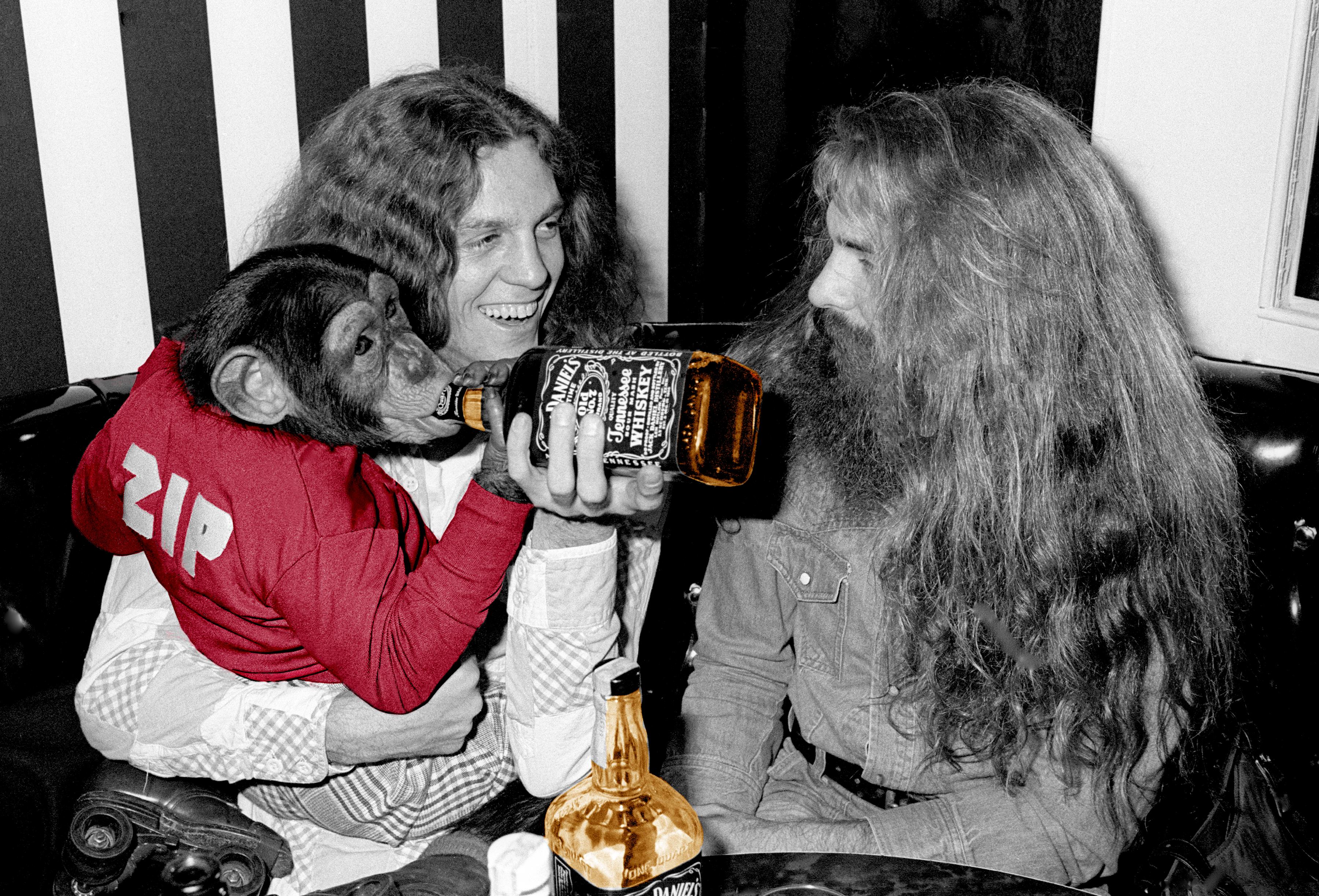 Richard E. Aaron Color Photograph - Lynyrd Skynyrd's Allen Collins with Roller Skating Monkey with Jack Colorized