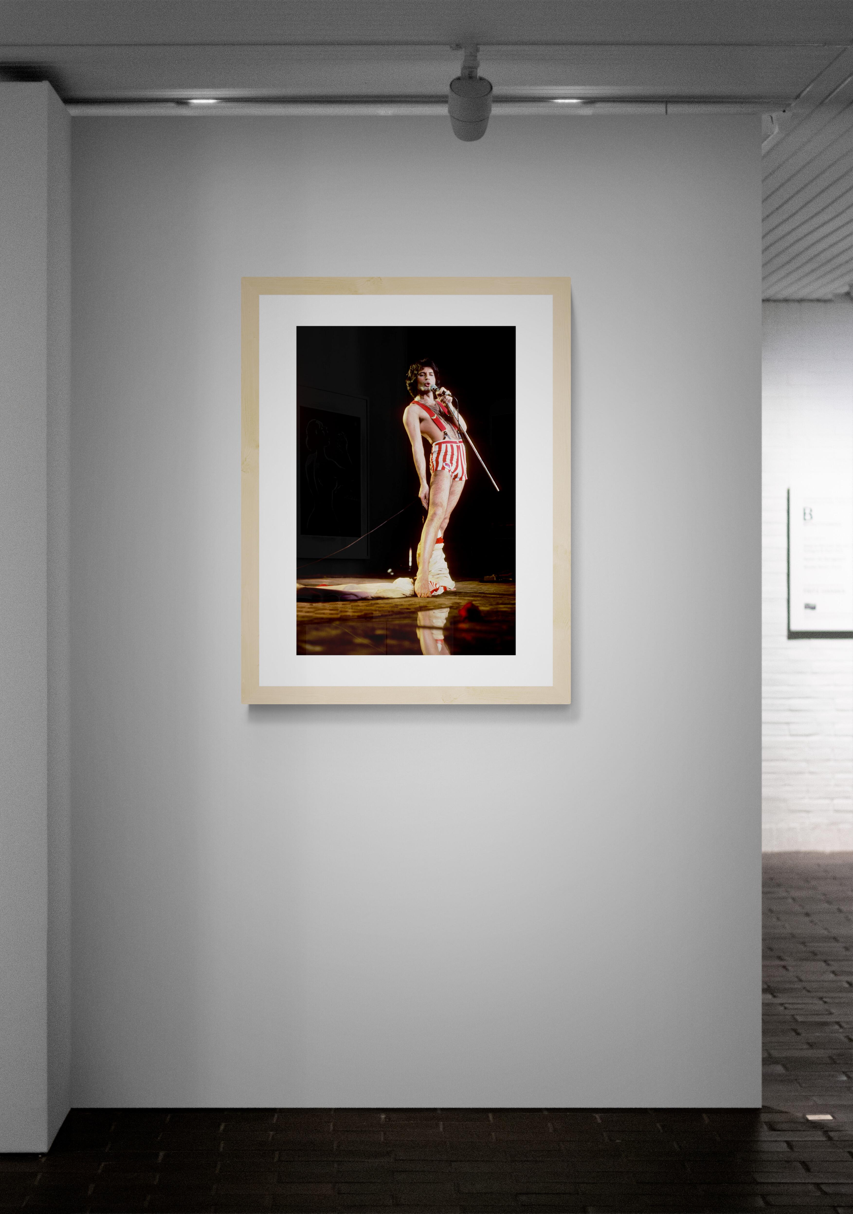 Título: Reina nº 9  Freddie Mercury
Artista: Richard E. Aaron
Edición limitada: Numerada a mano con la marca de la finca en el margen, sello de la firma en el verso, impresión con pigmentos de archivo sobre papel Hahnemühle Photo Rag Pearl, papel de