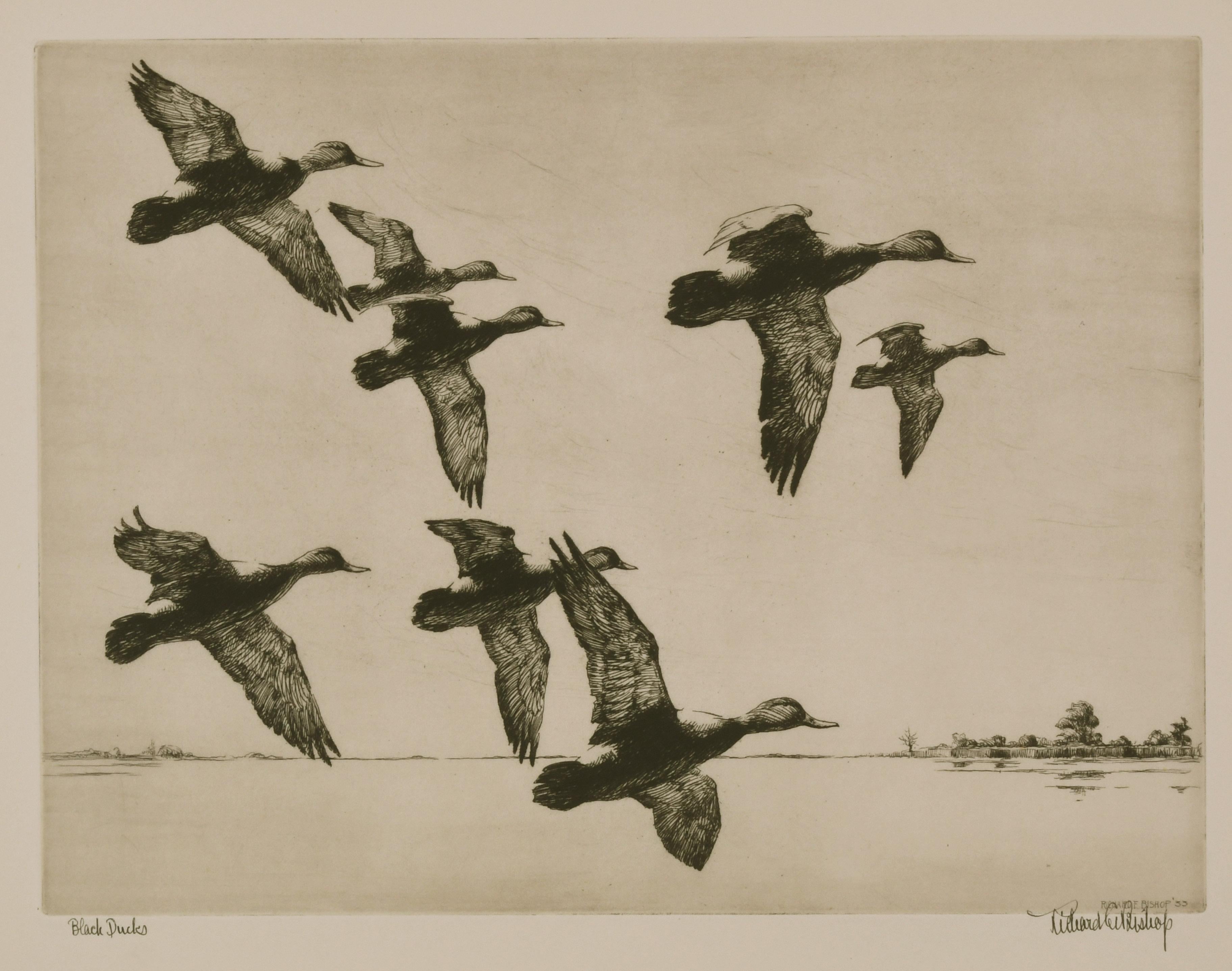 Richard E.  Bishop Animal Print - Black Ducks