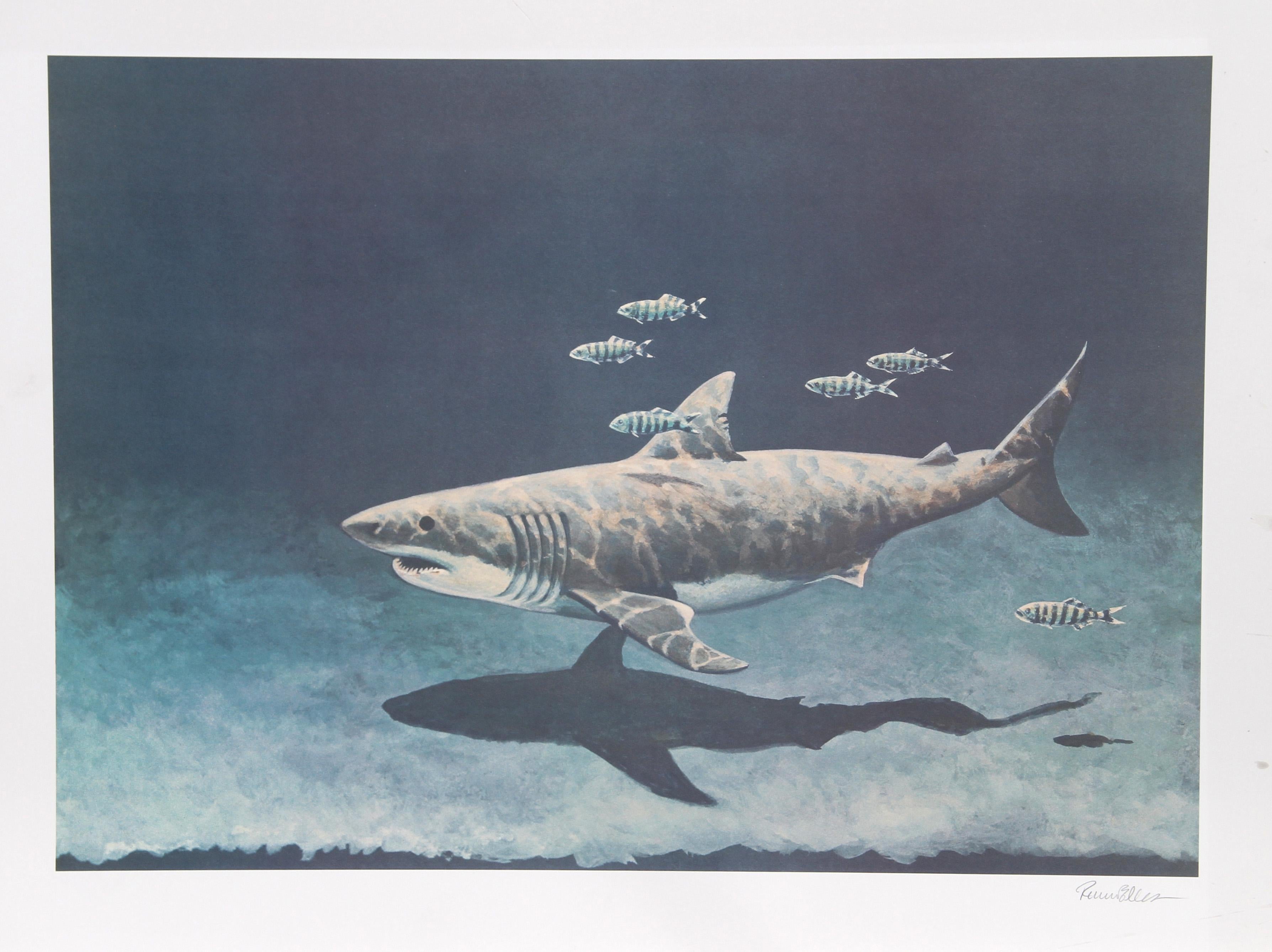Gran tiburón blanco, litografía de Richard Ellis