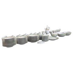 Richard Ginori 105 piece Porcelain
