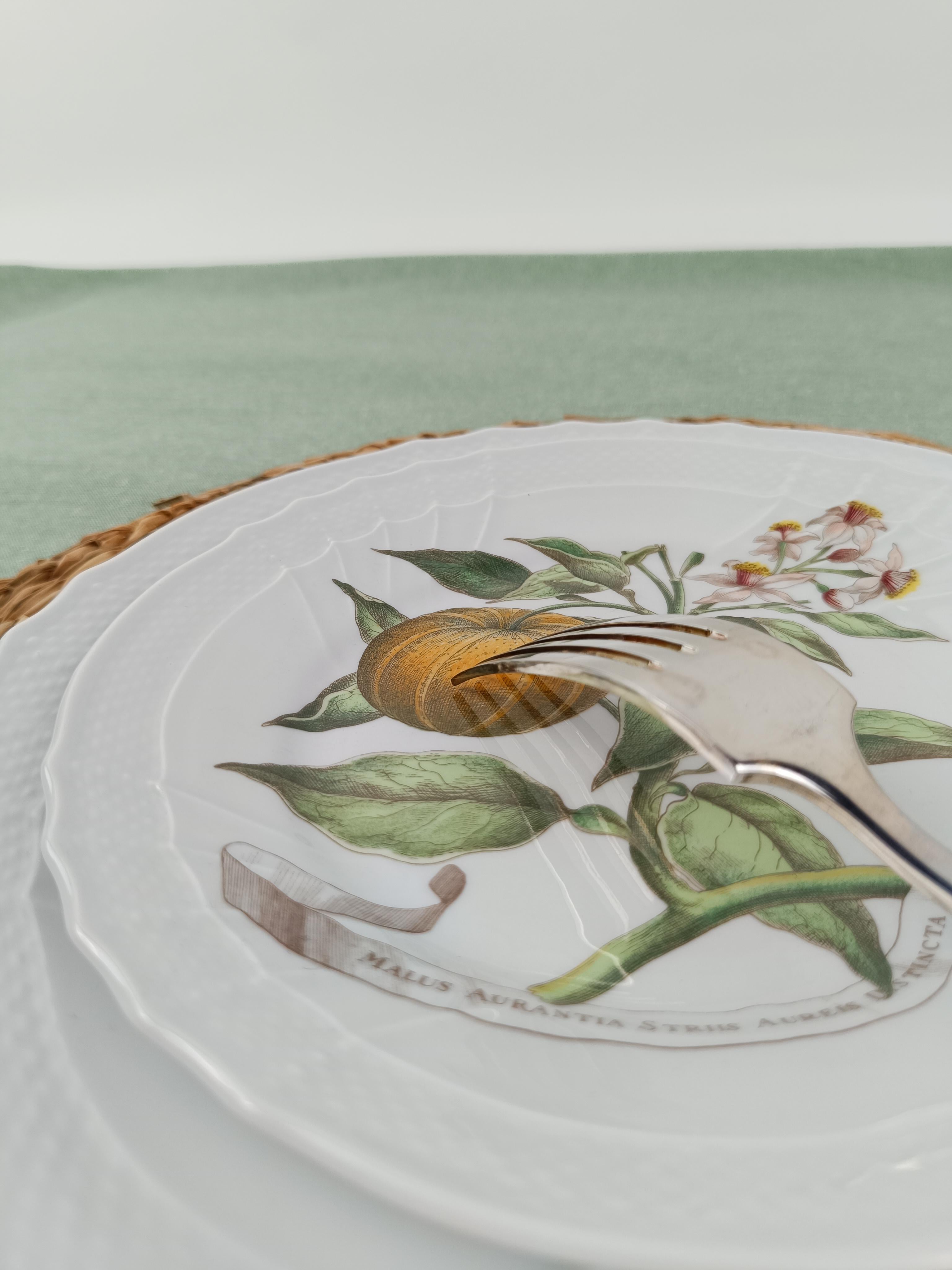 Richard Ginori China Dinner Service with a botanical print by Munting Abraham For Sale 2