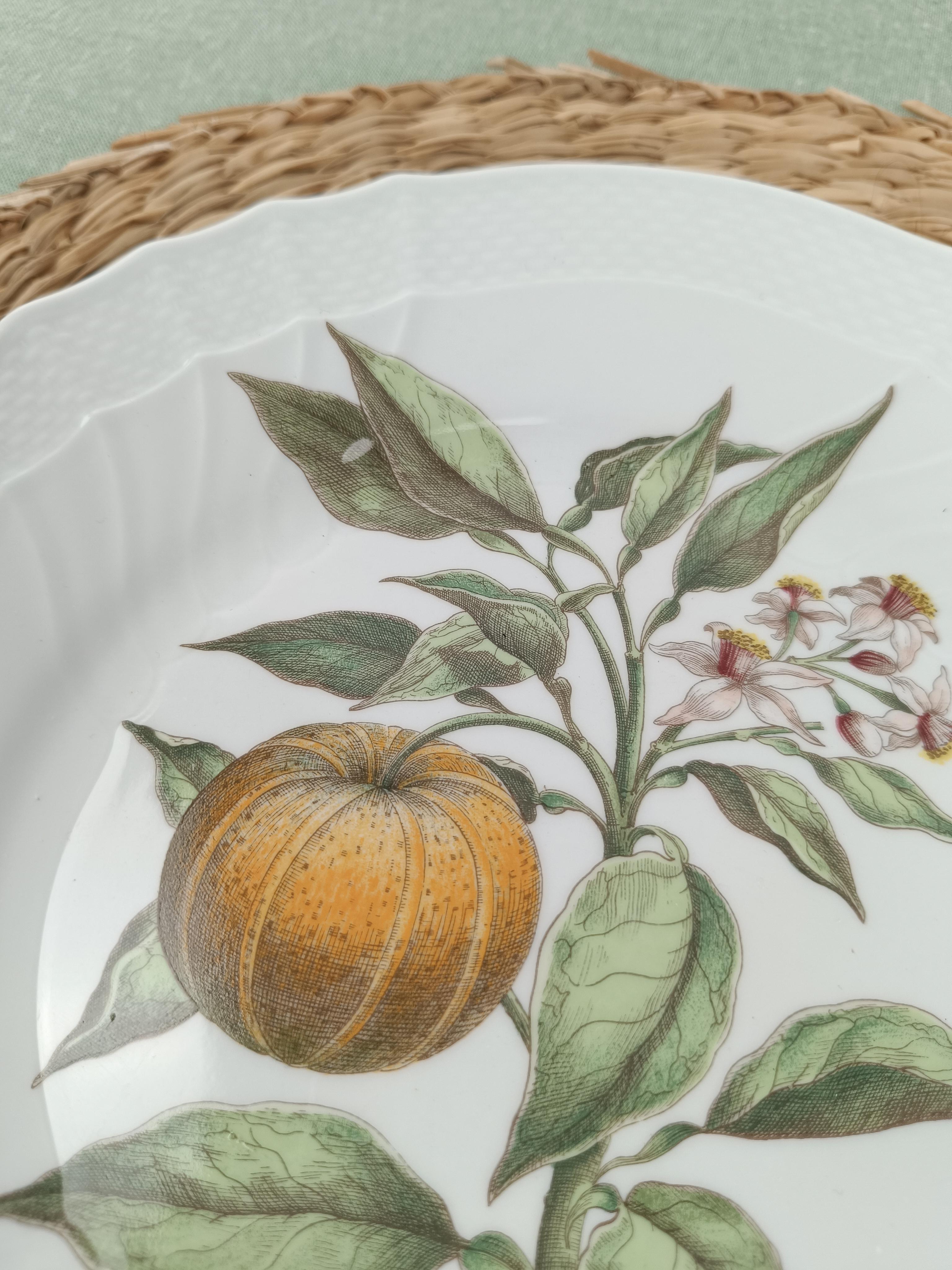 Richard Ginori China Dinner Service with a botanical print by Munting Abraham For Sale 3