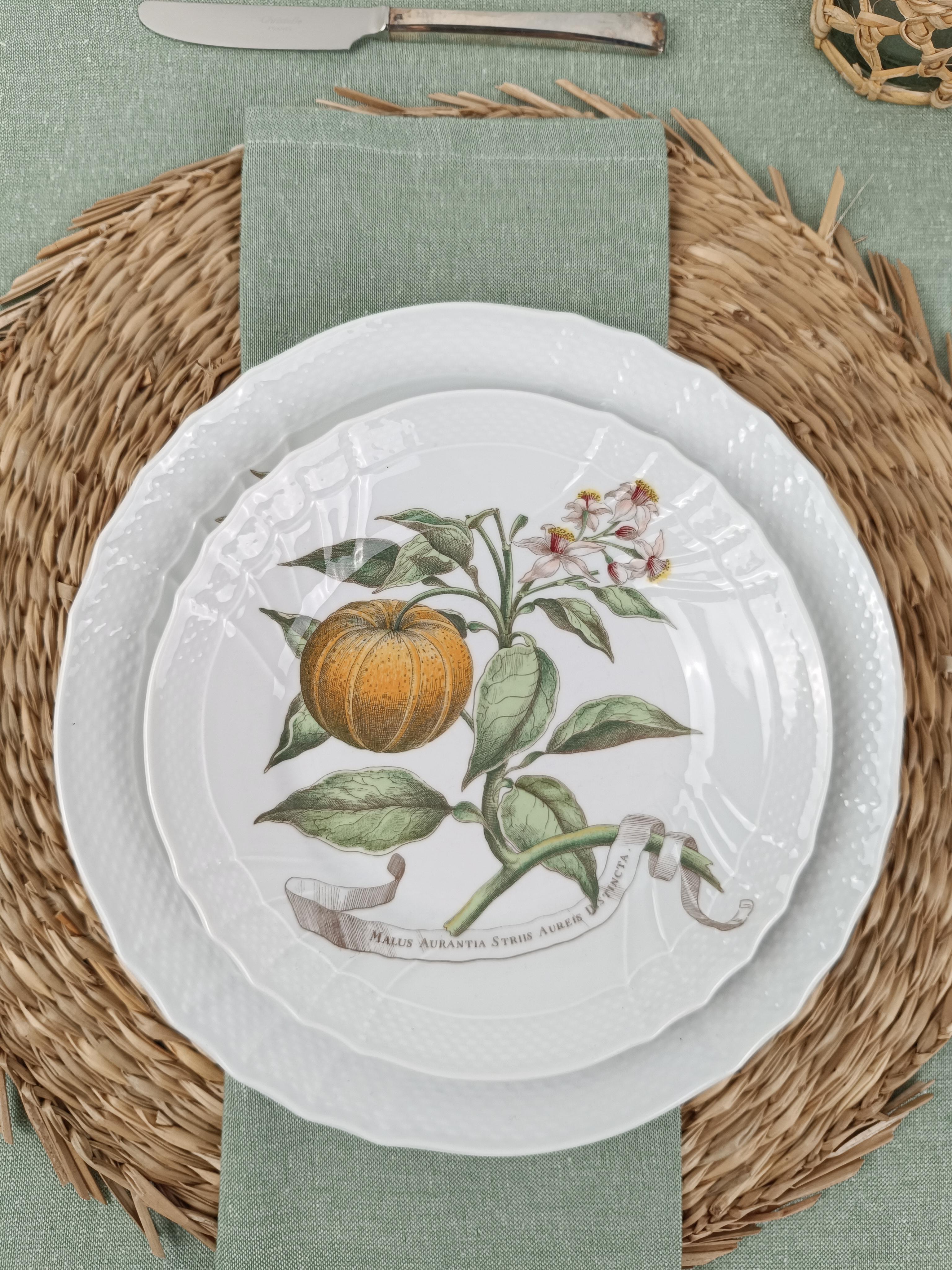 Richard Ginori China Dinner Service with a botanical print by Munting Abraham For Sale 4