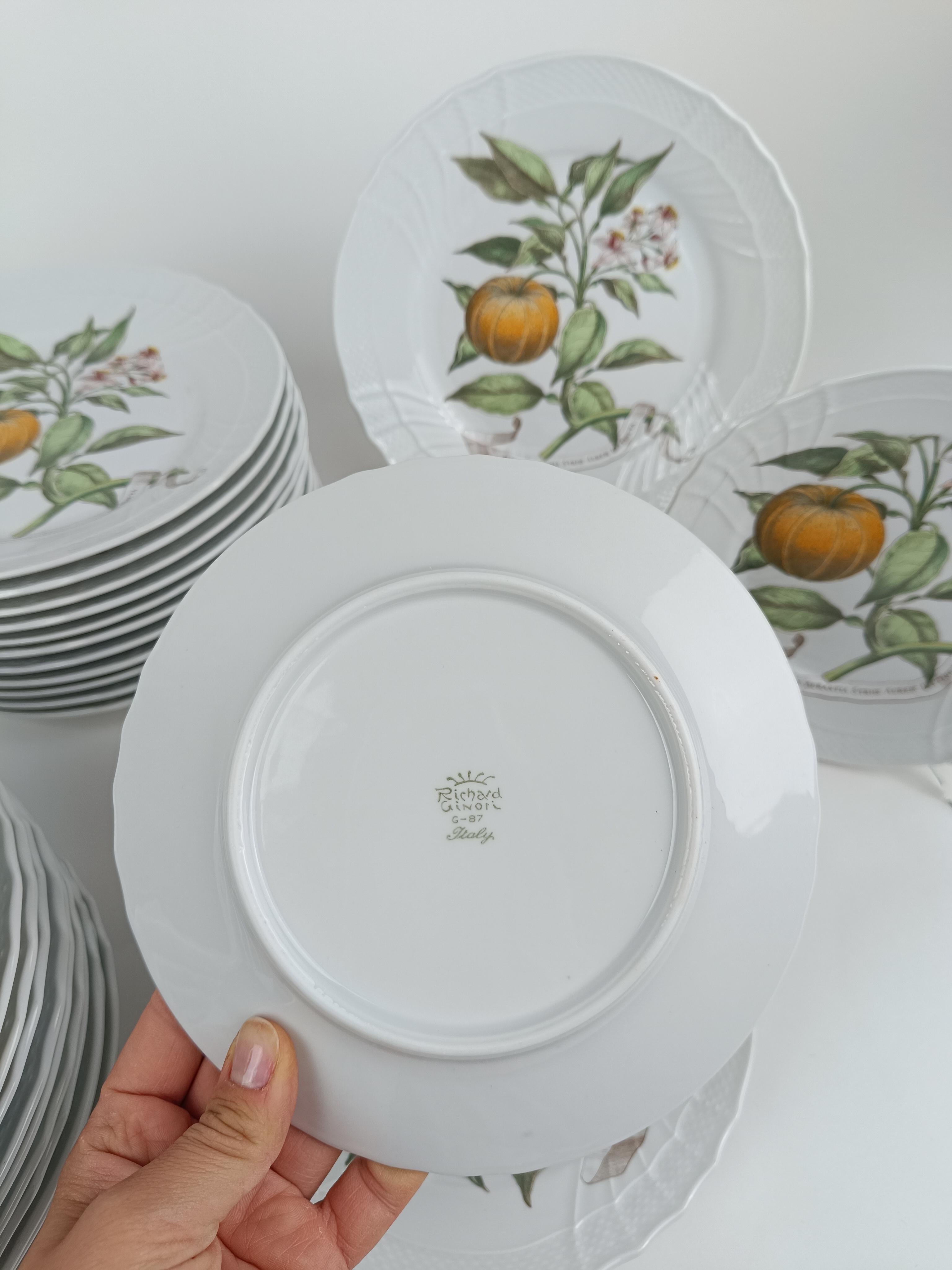 Richard Ginori China Dinner Service with a botanical print by Munting Abraham For Sale 5
